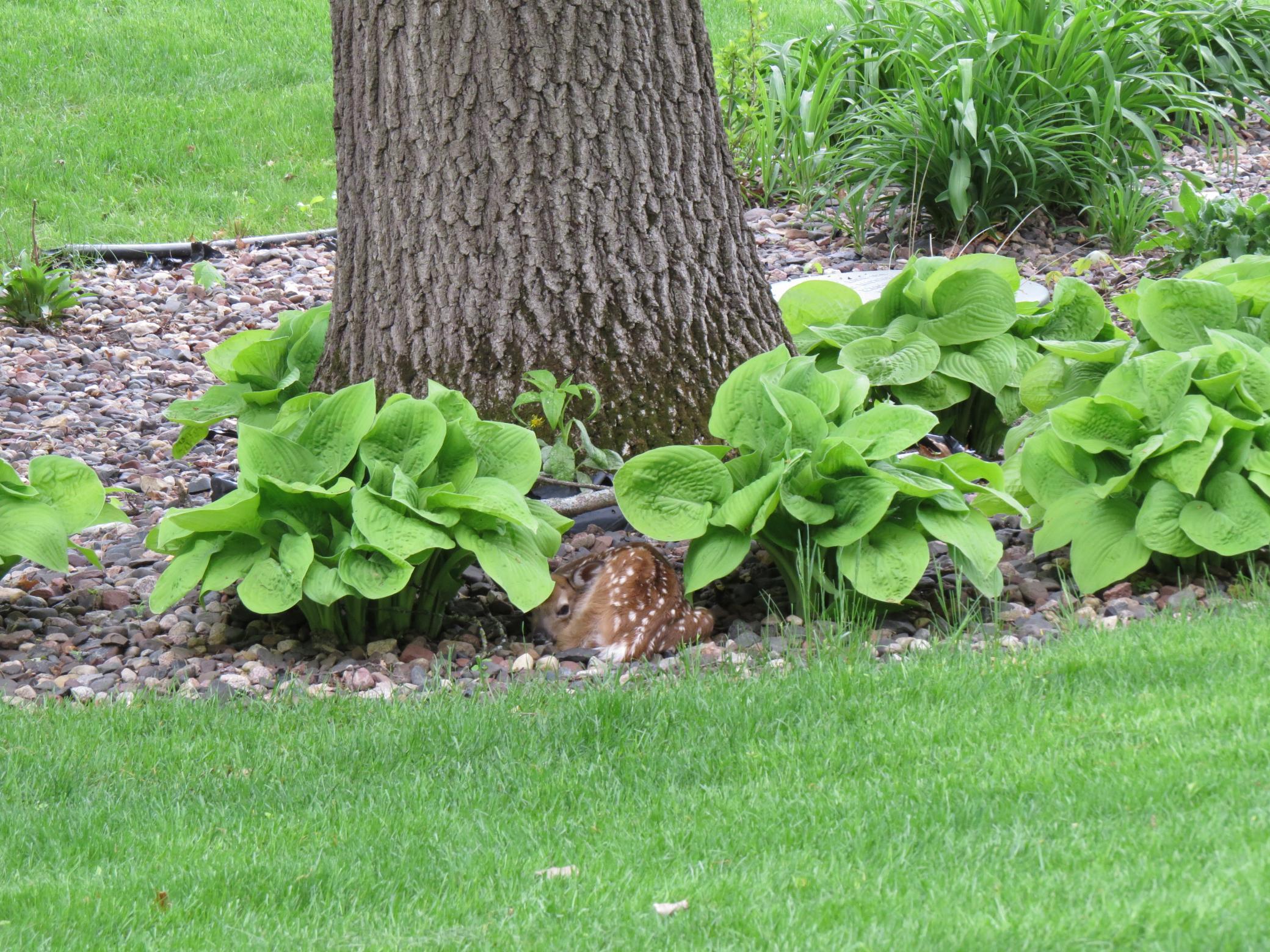 main property photo 92