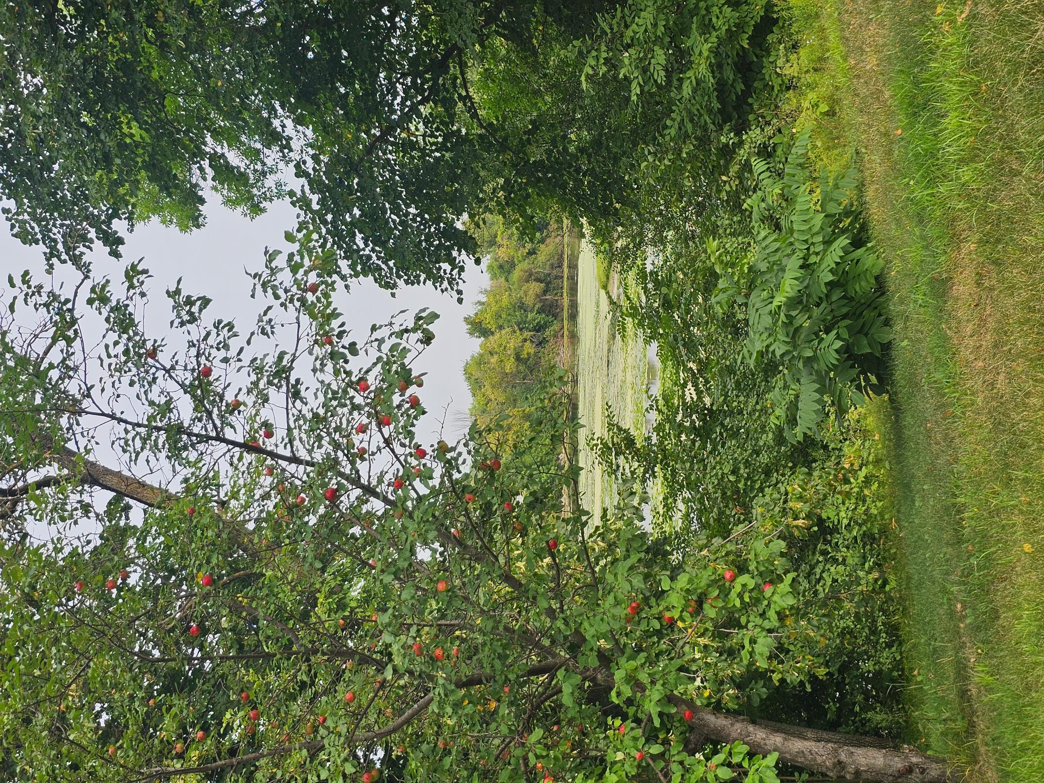 main property photo 14