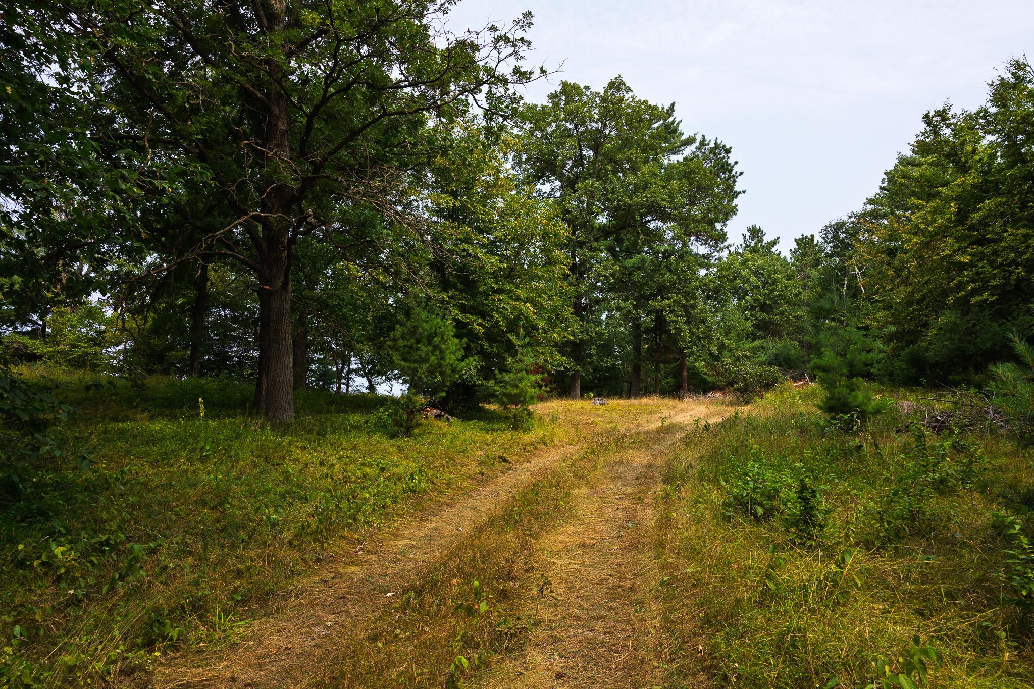 main property photo 42