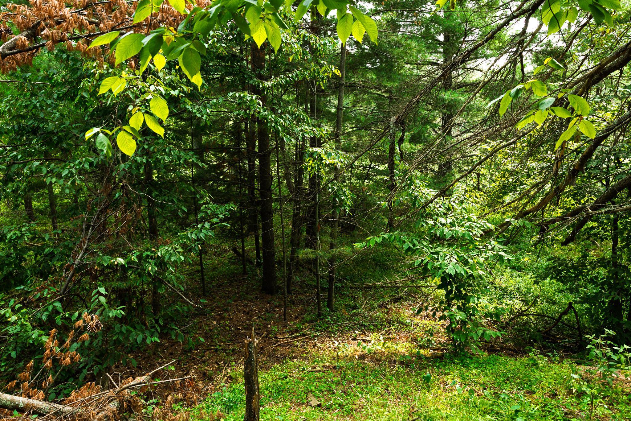 main property photo 53