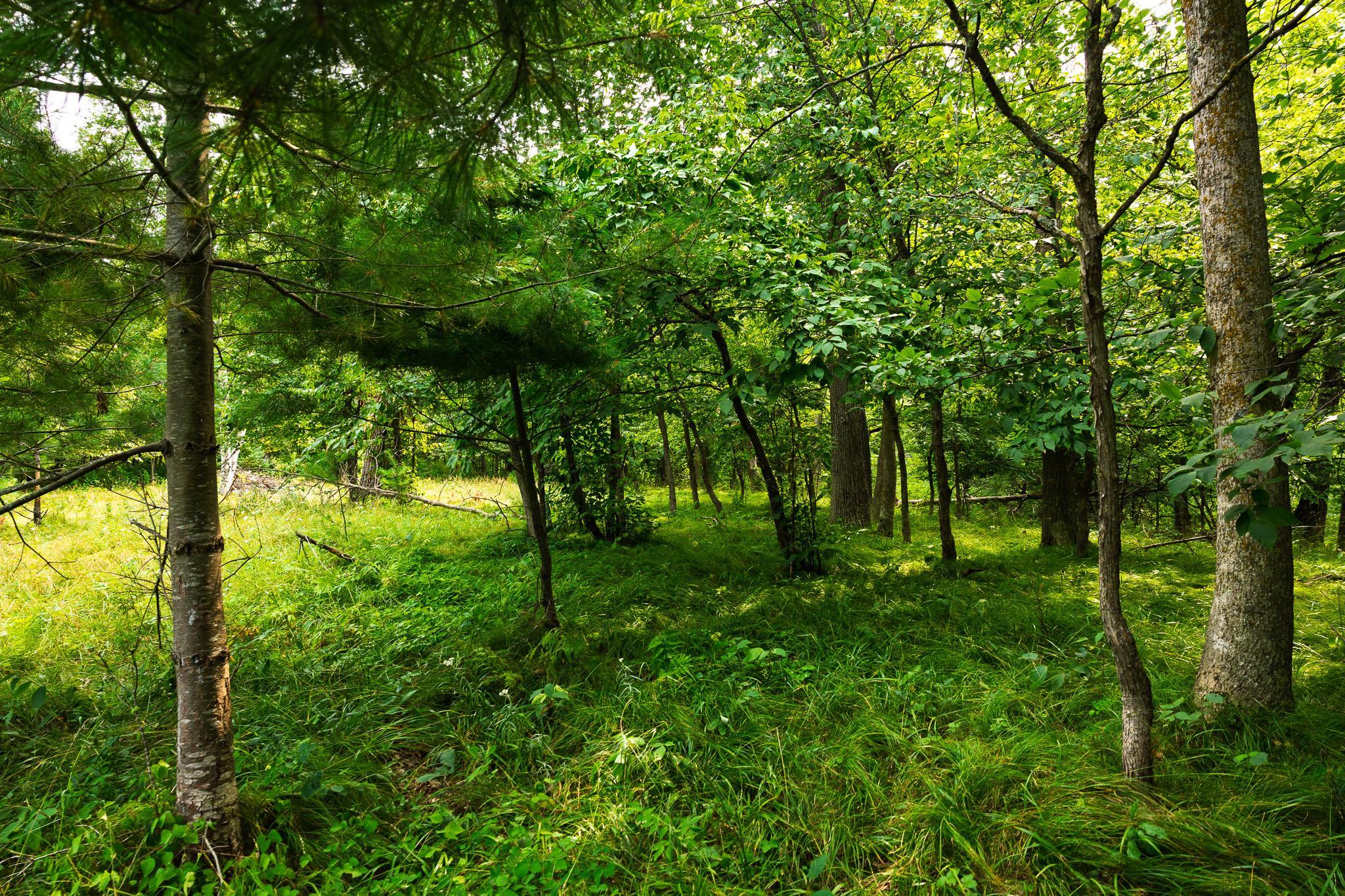 main property photo 54