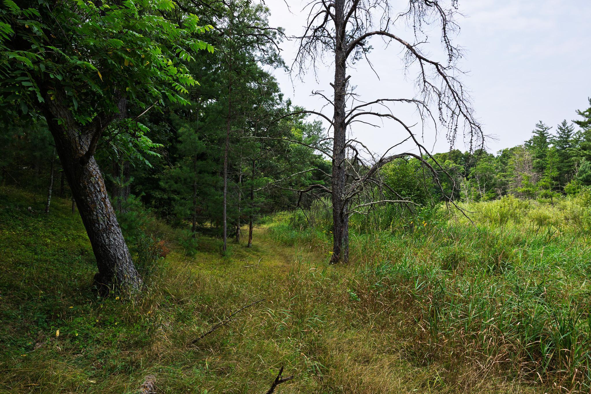 main property photo 56