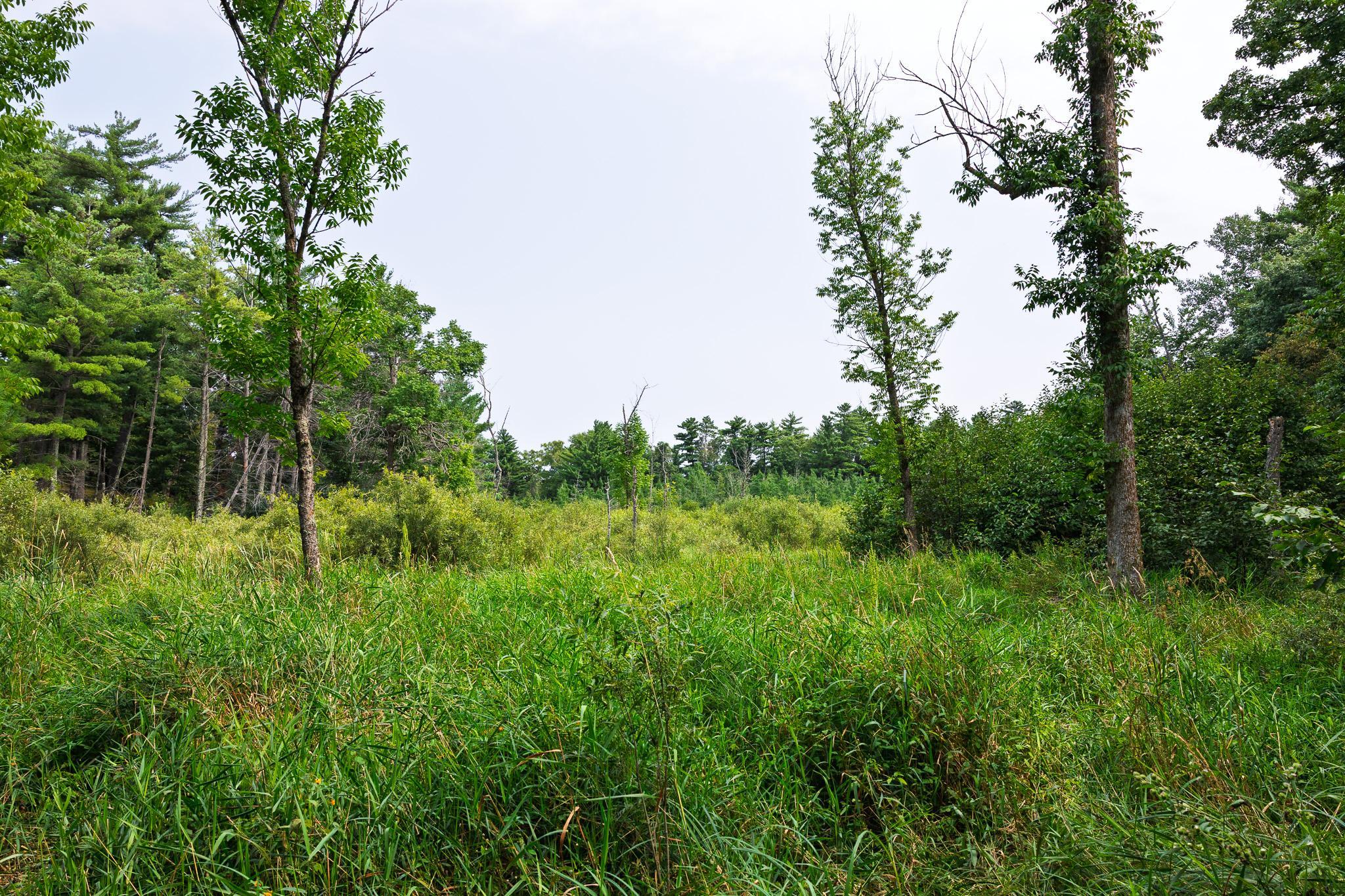 main property photo 57