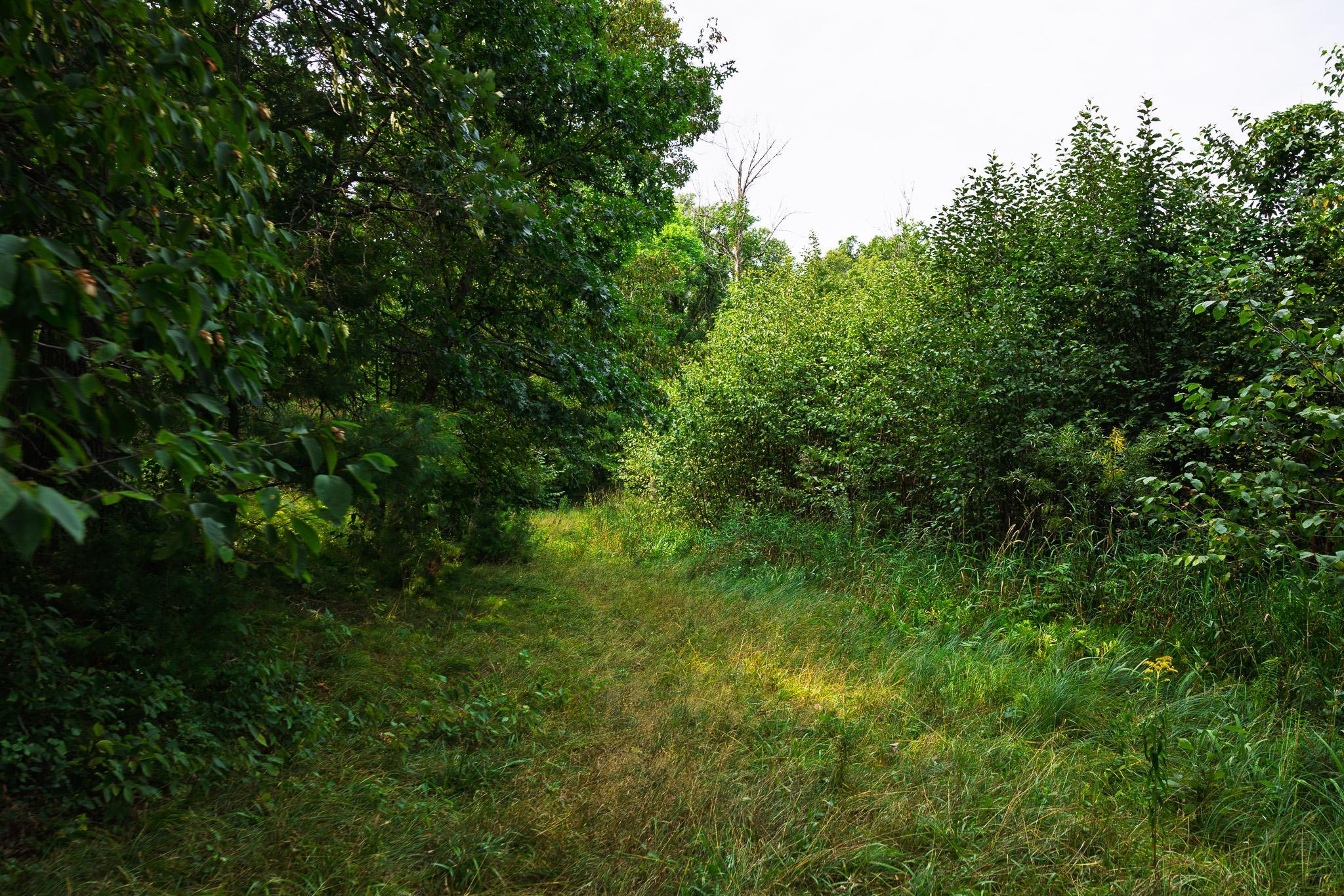 main property photo 58
