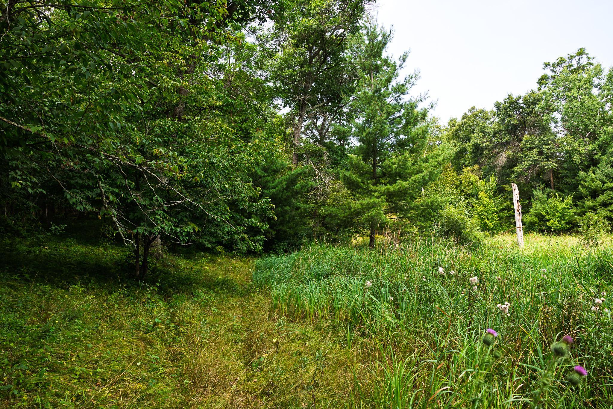 main property photo 59