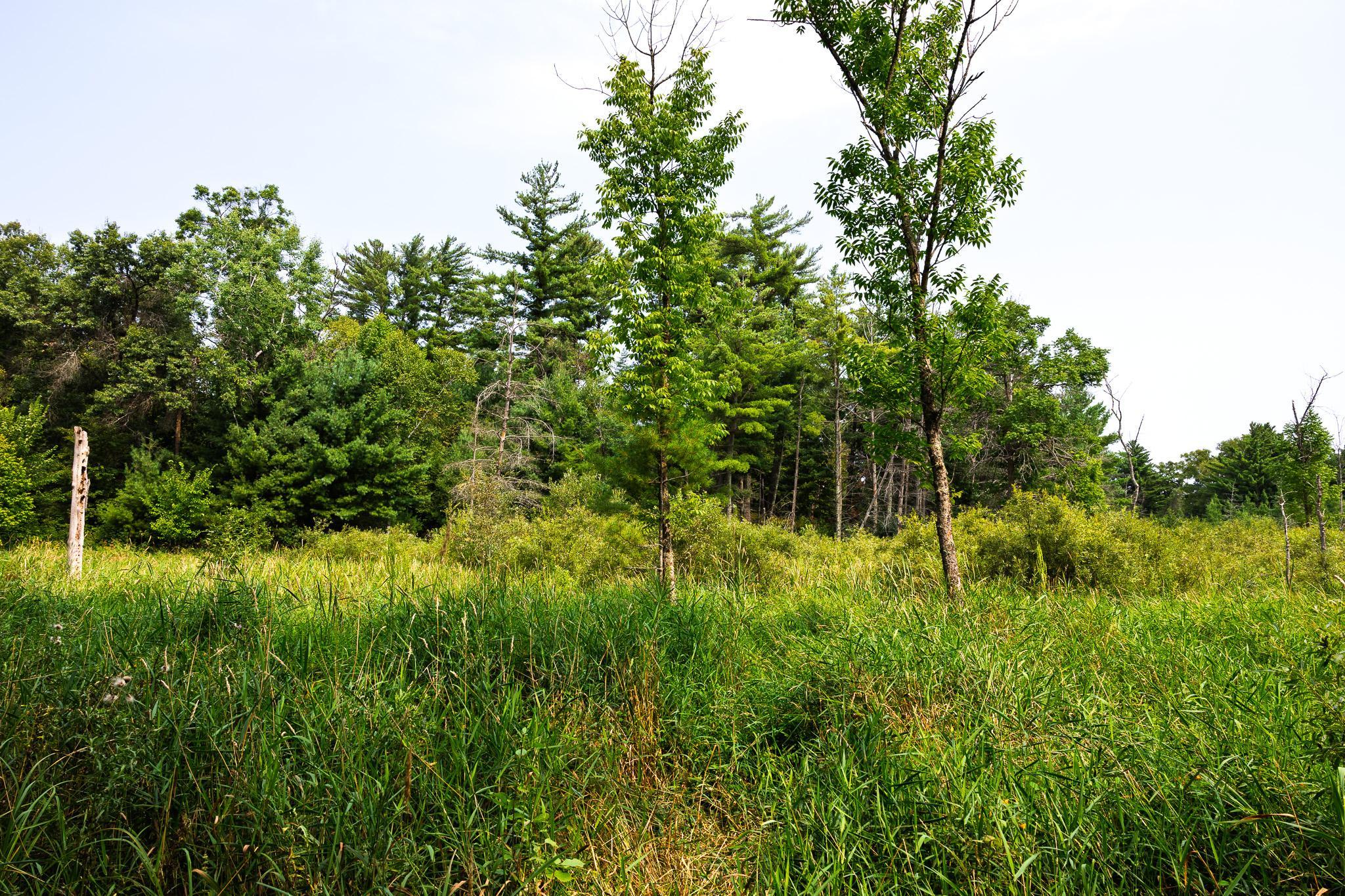 main property photo 60