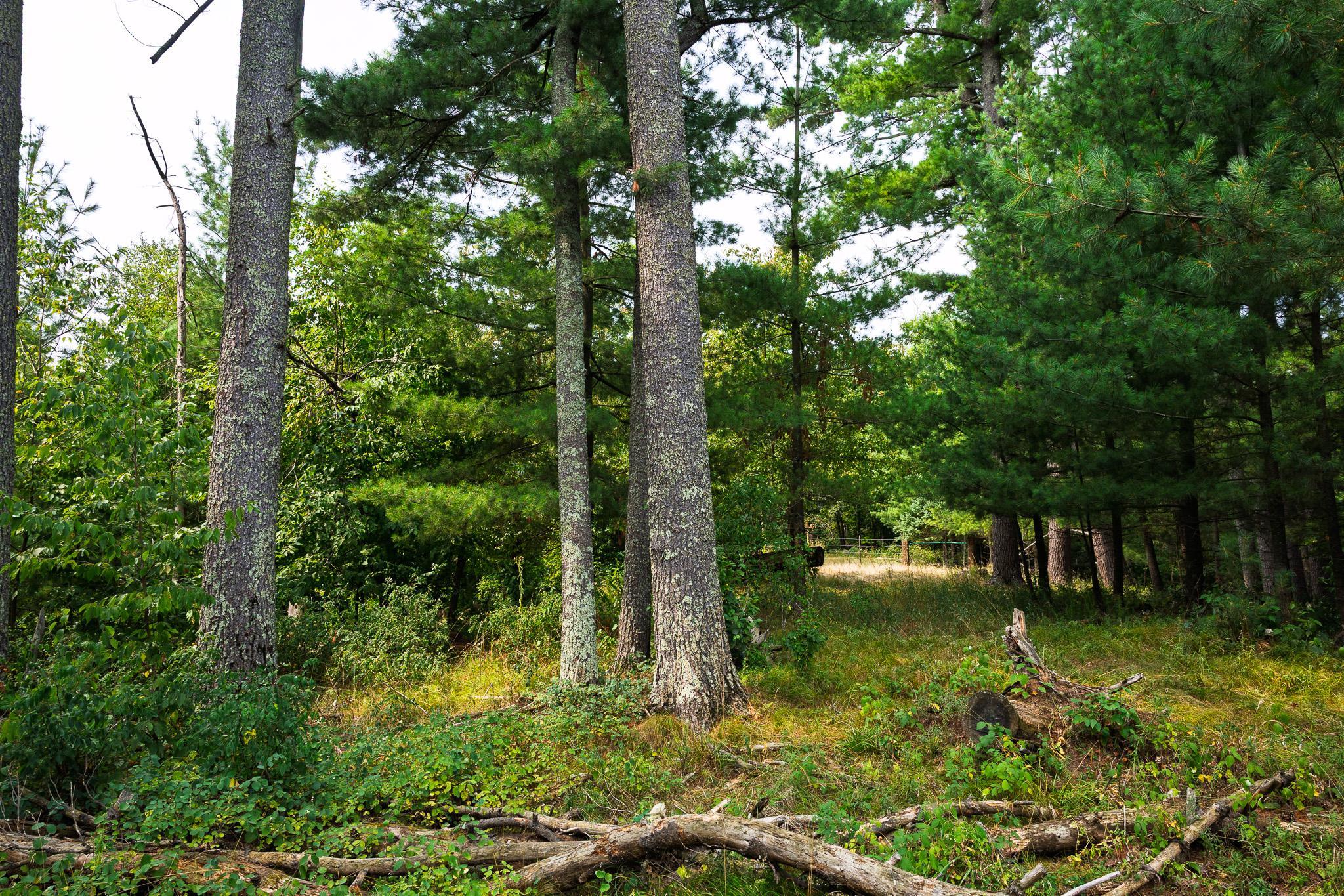 main property photo 61
