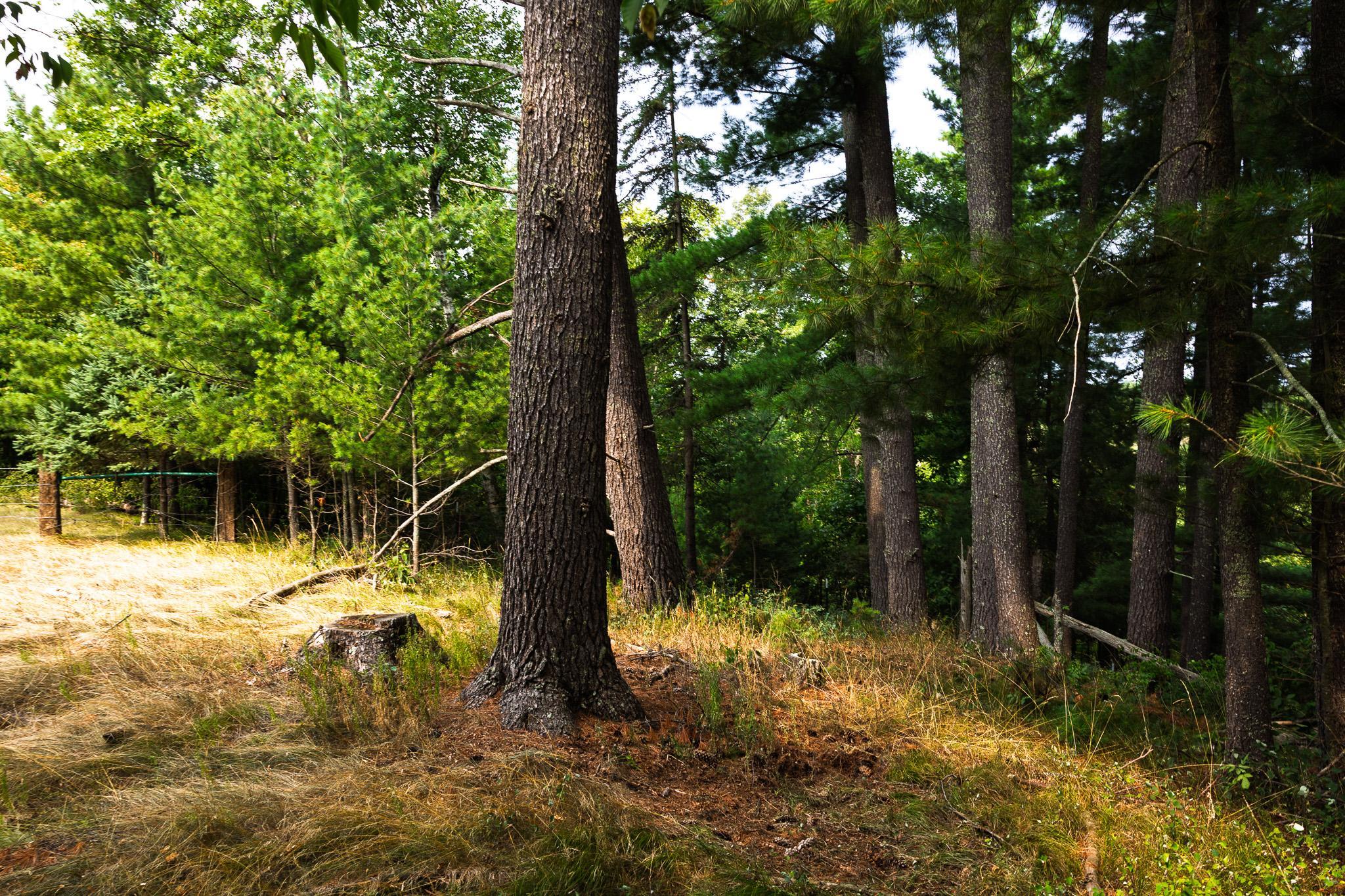 main property photo 62