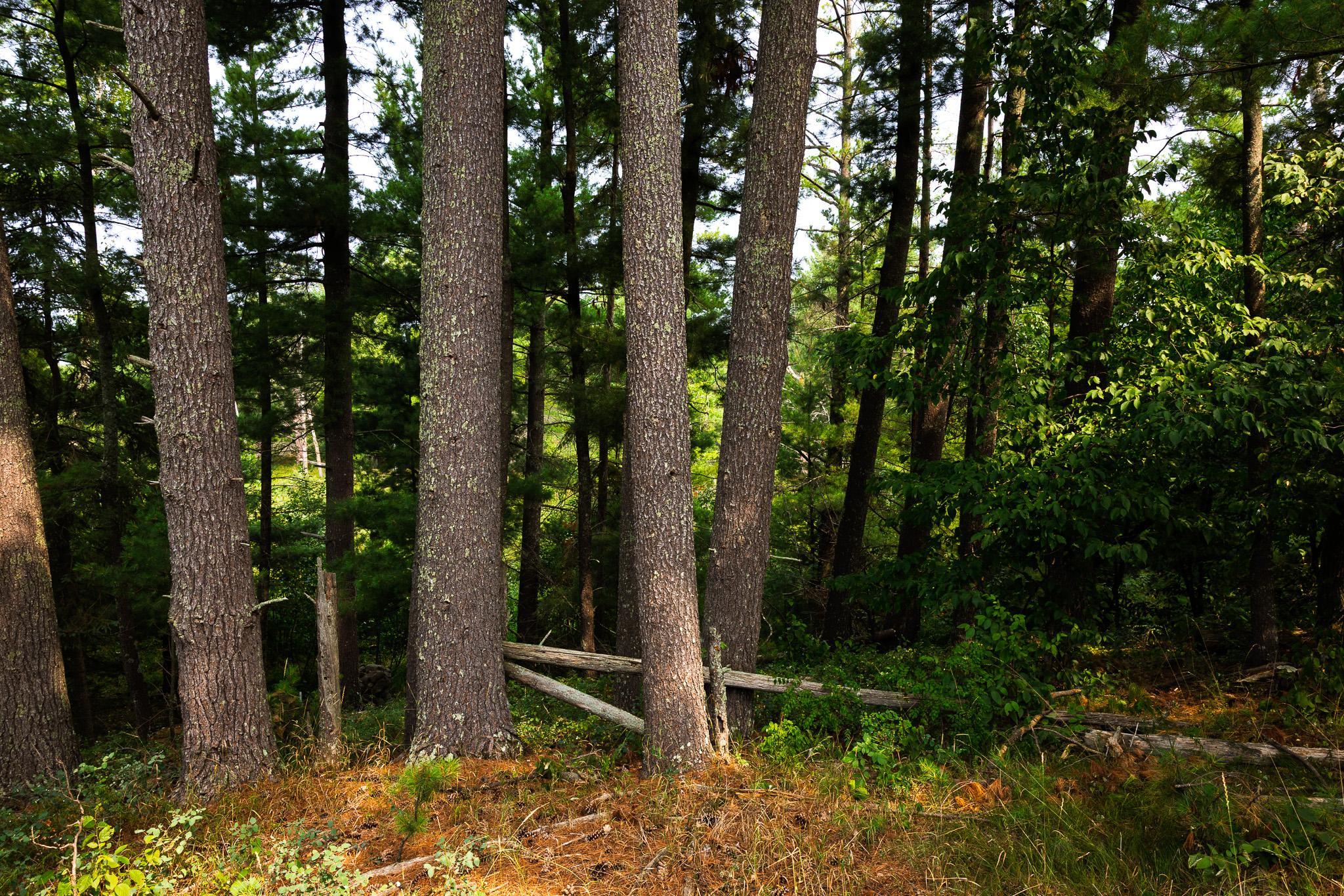 main property photo 63