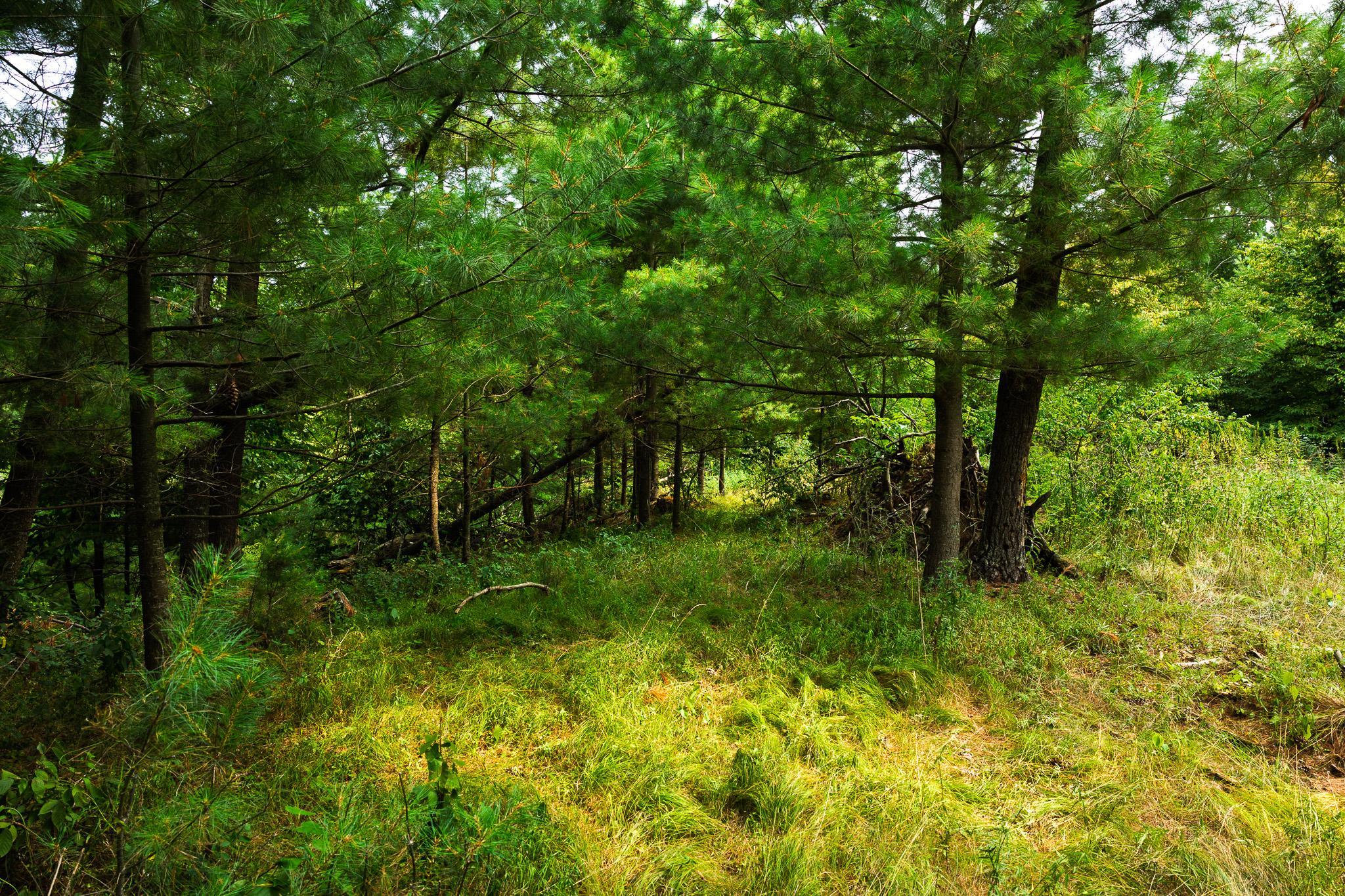 main property photo 64