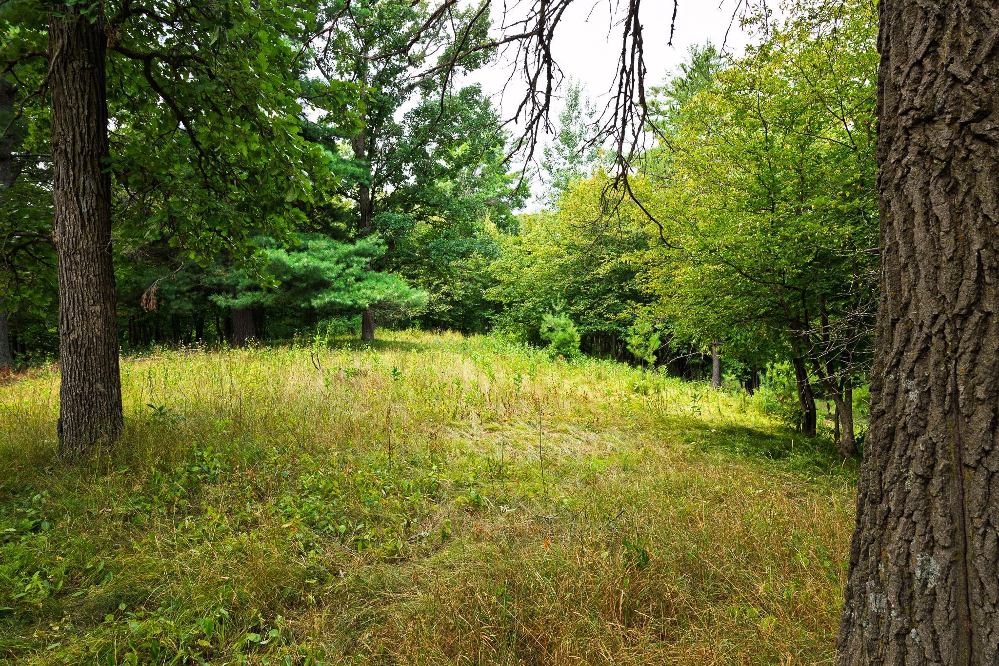 main property photo 67