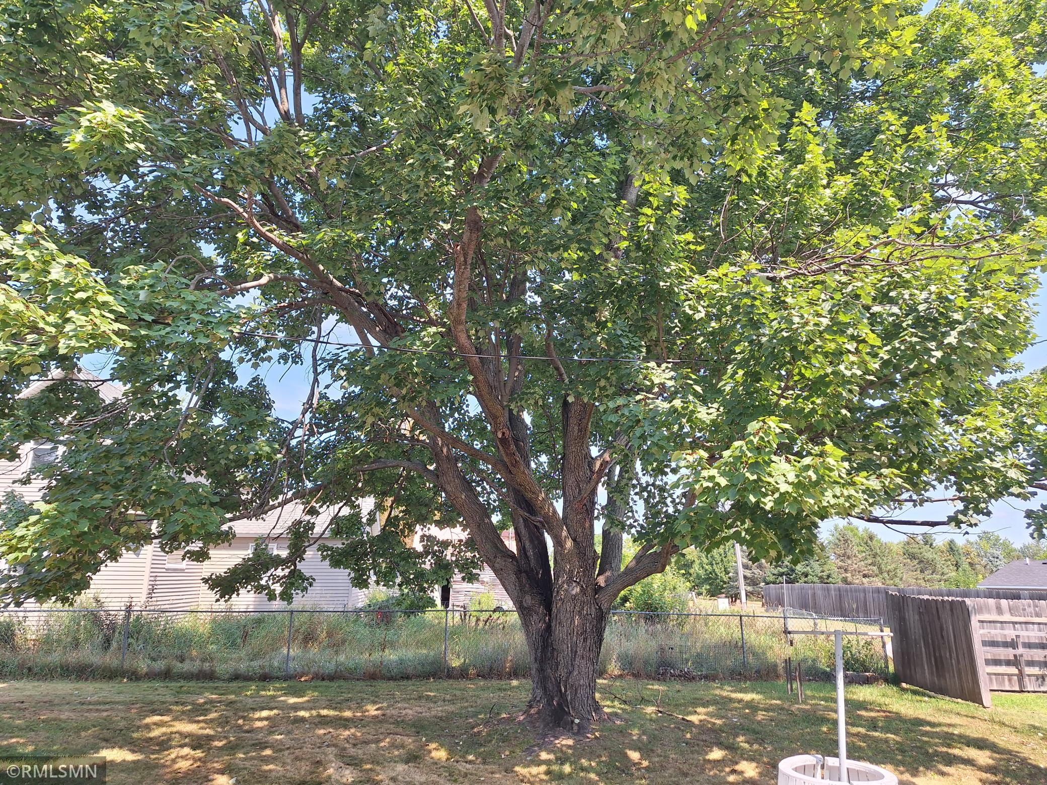main property photo 62