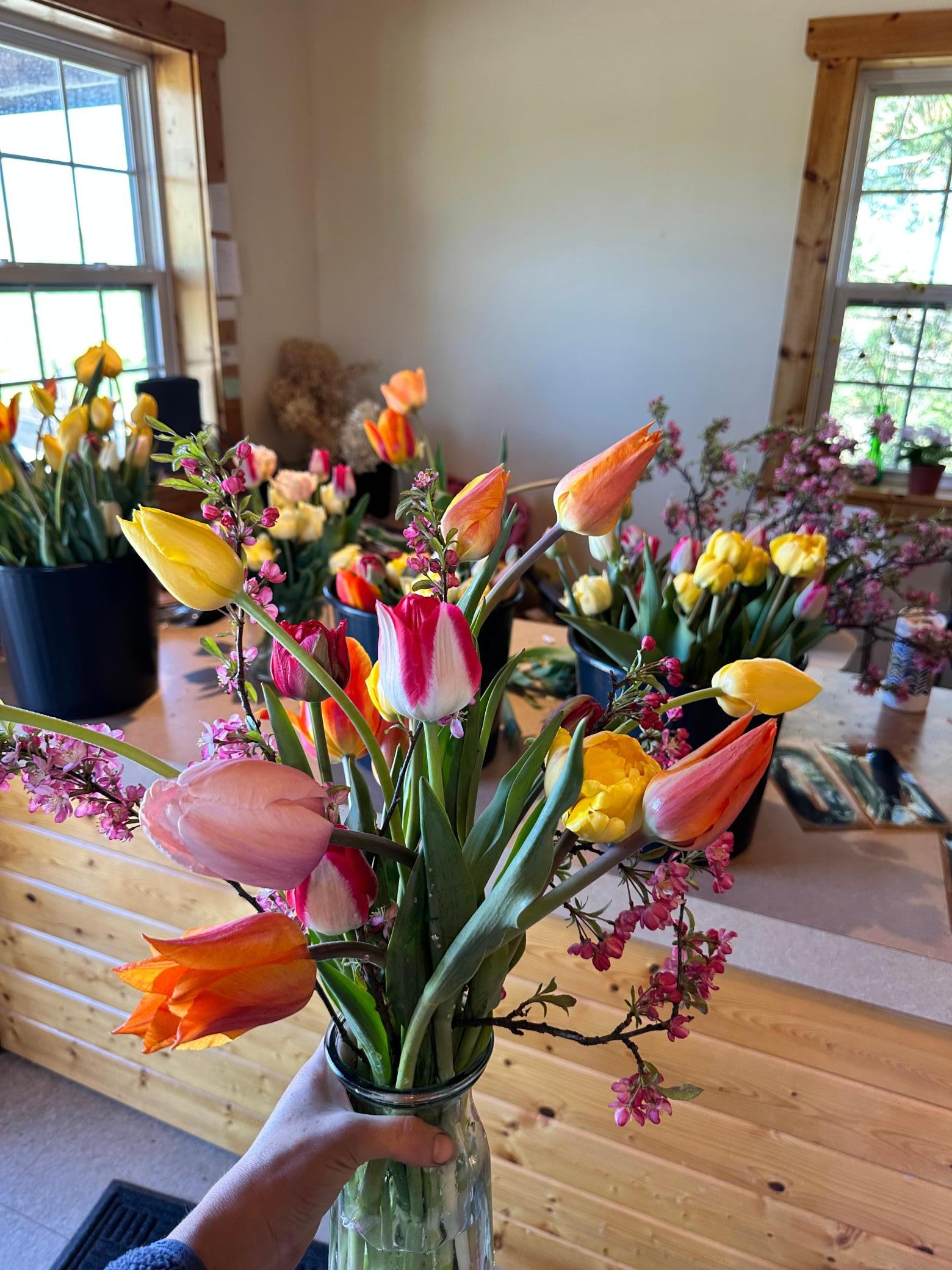 main property photo 3