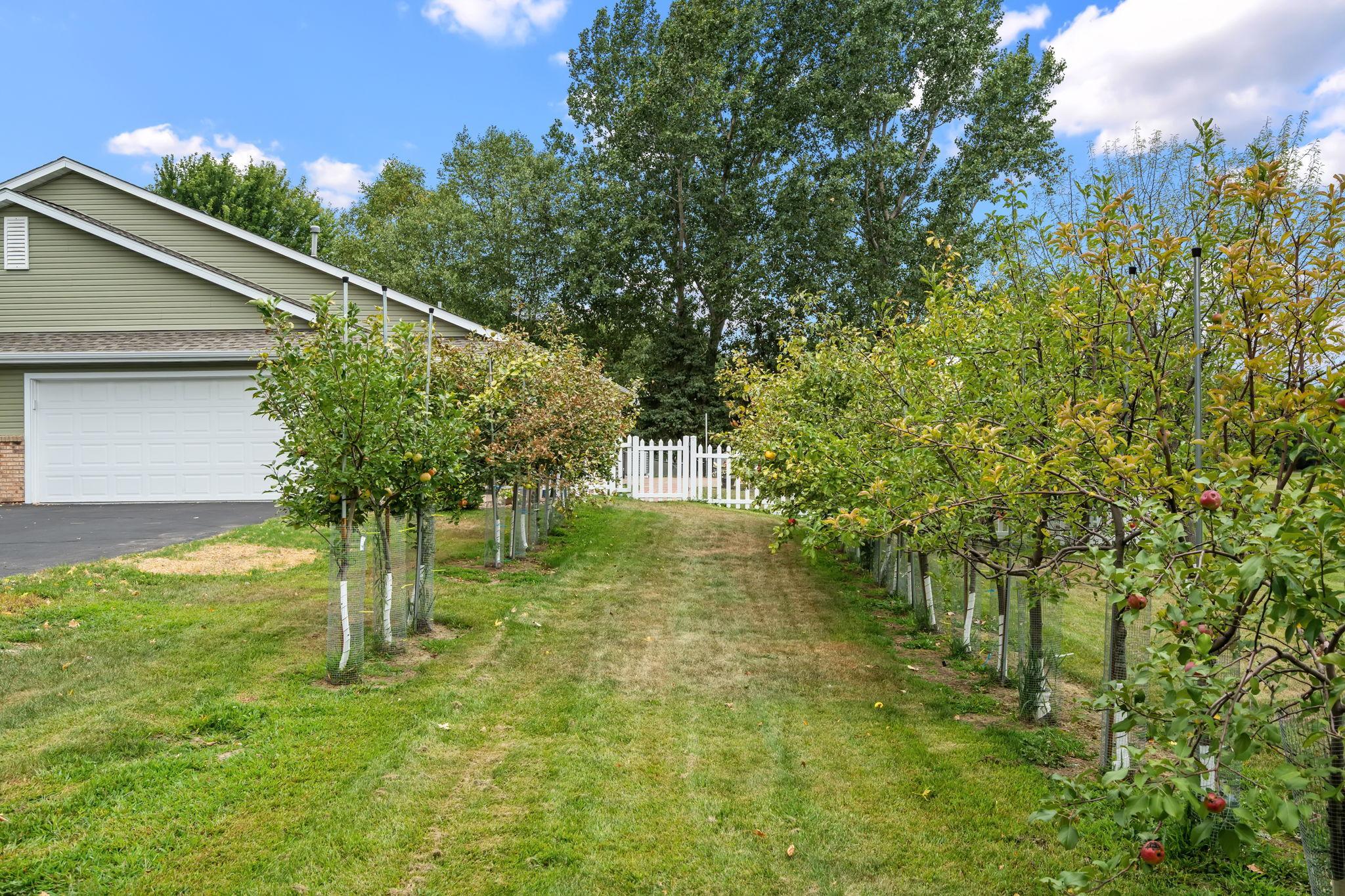 main property photo 22