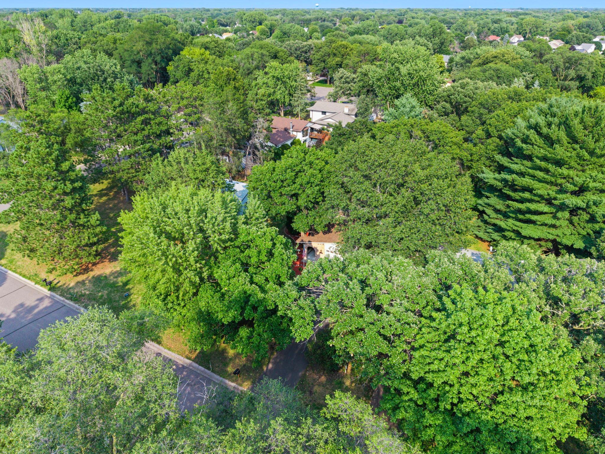 main property photo 61