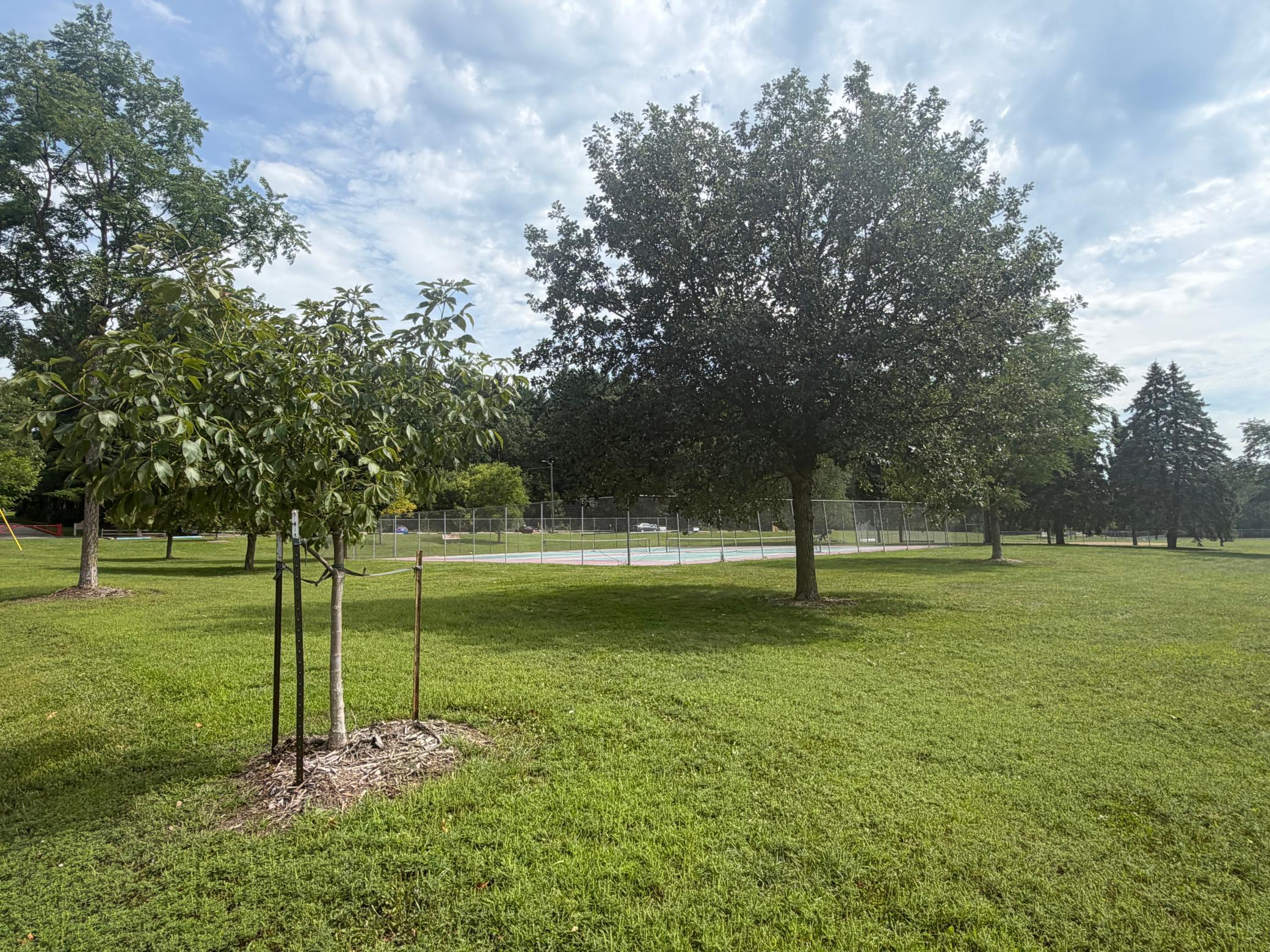 main property photo 44