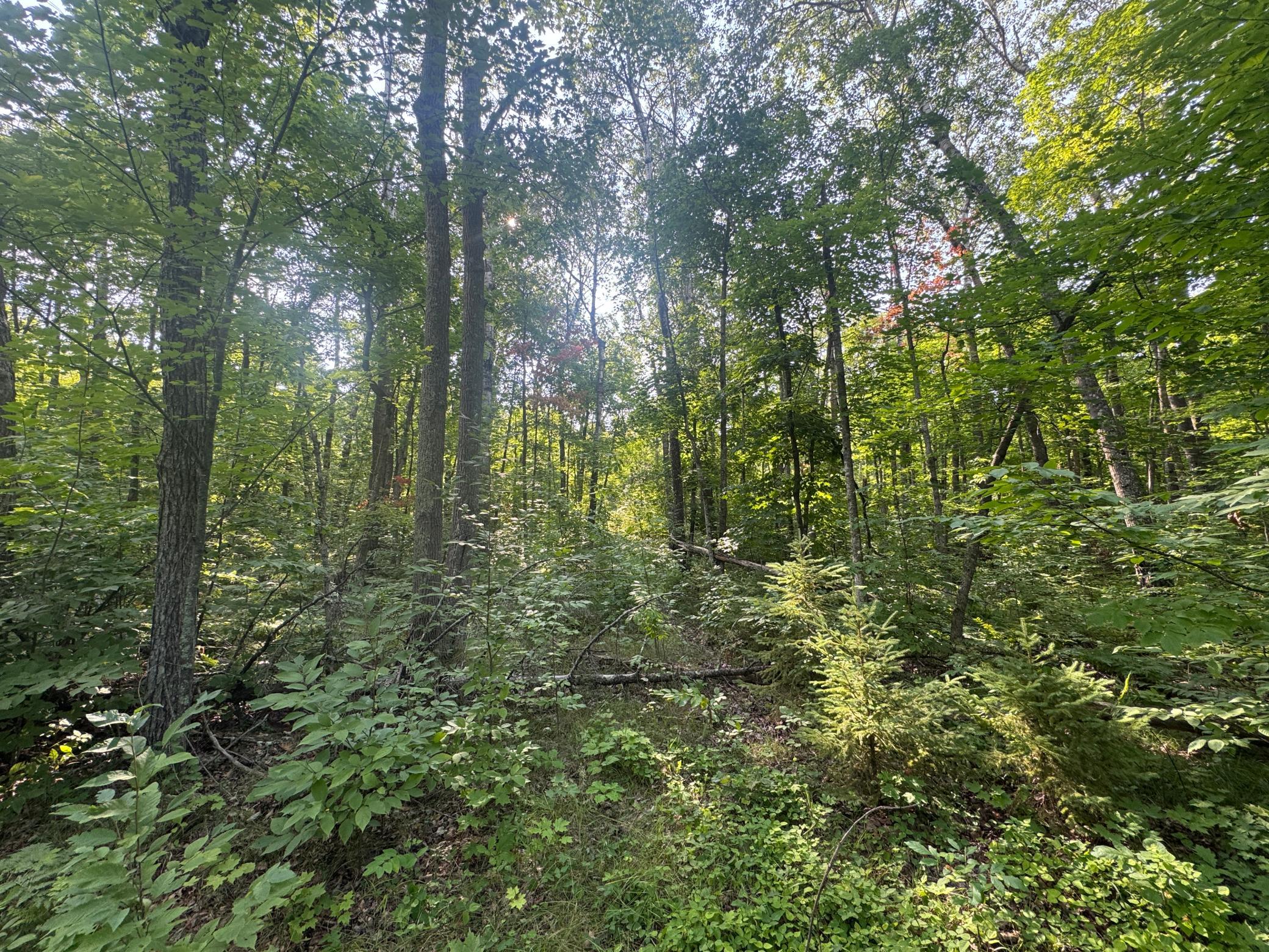 main property photo 0