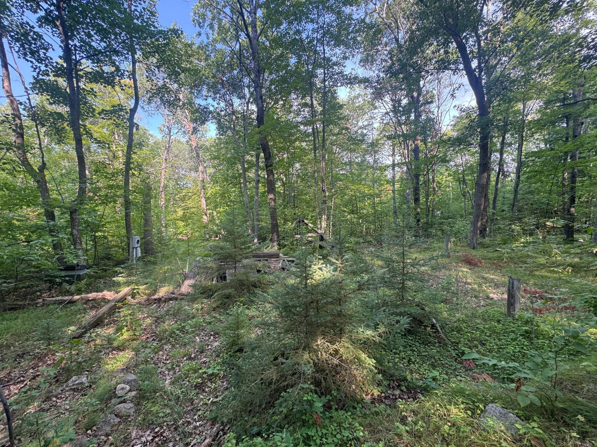 main property photo 8