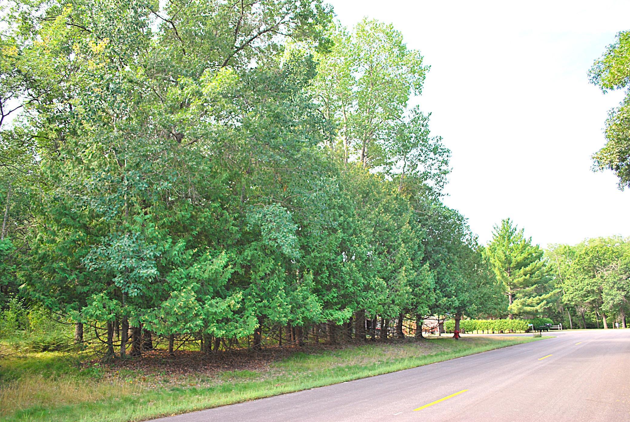 main property photo 0