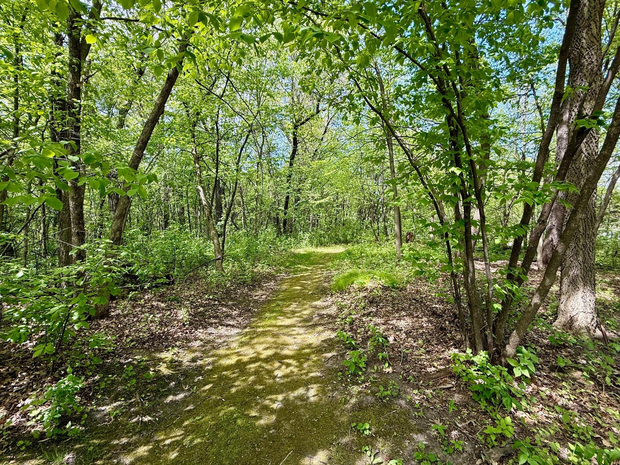 main property photo 41