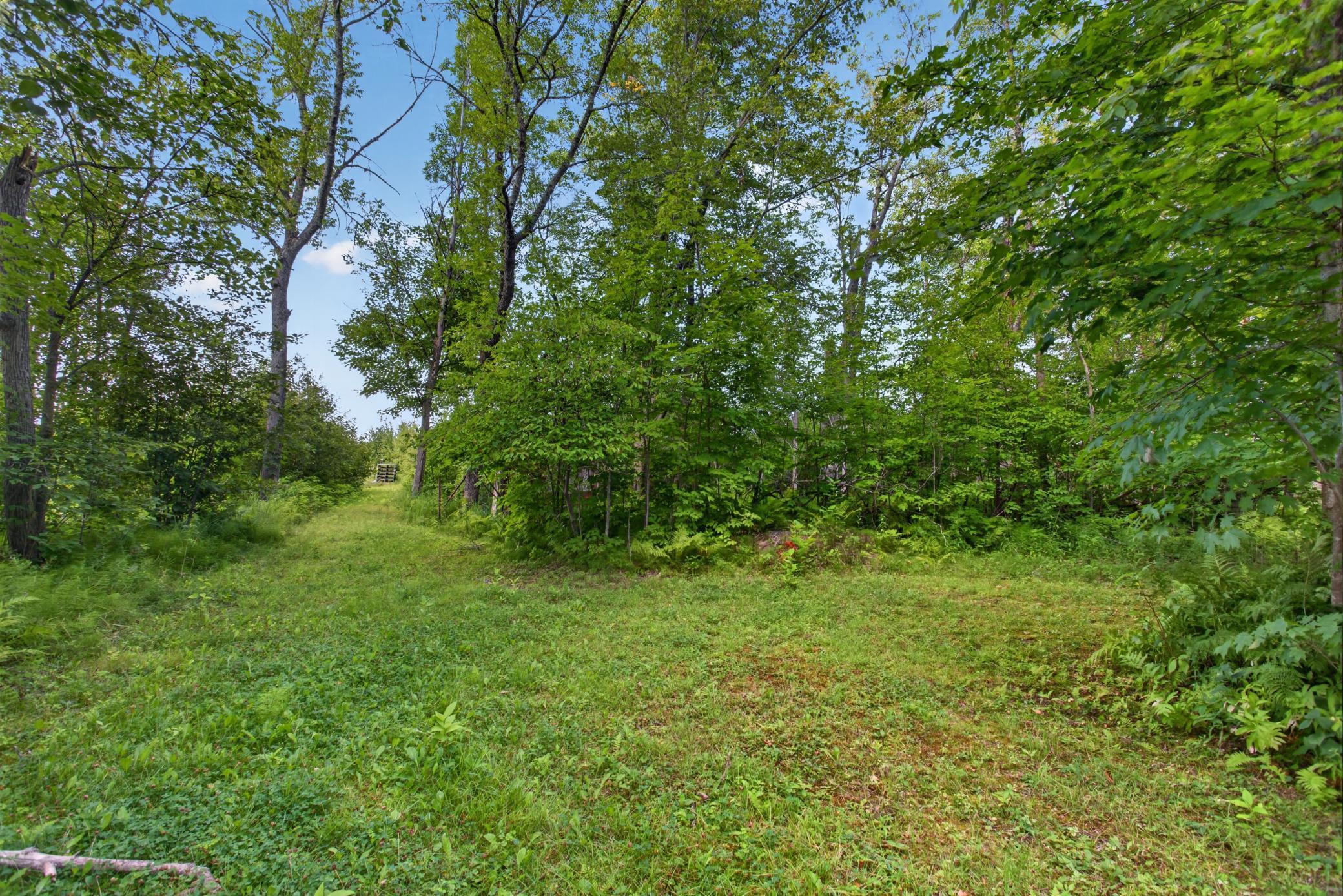 main property photo 48