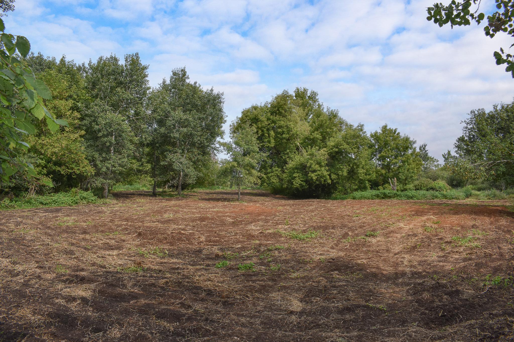 main property photo 75
