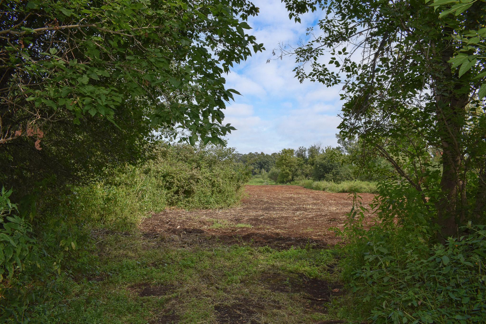 main property photo 79