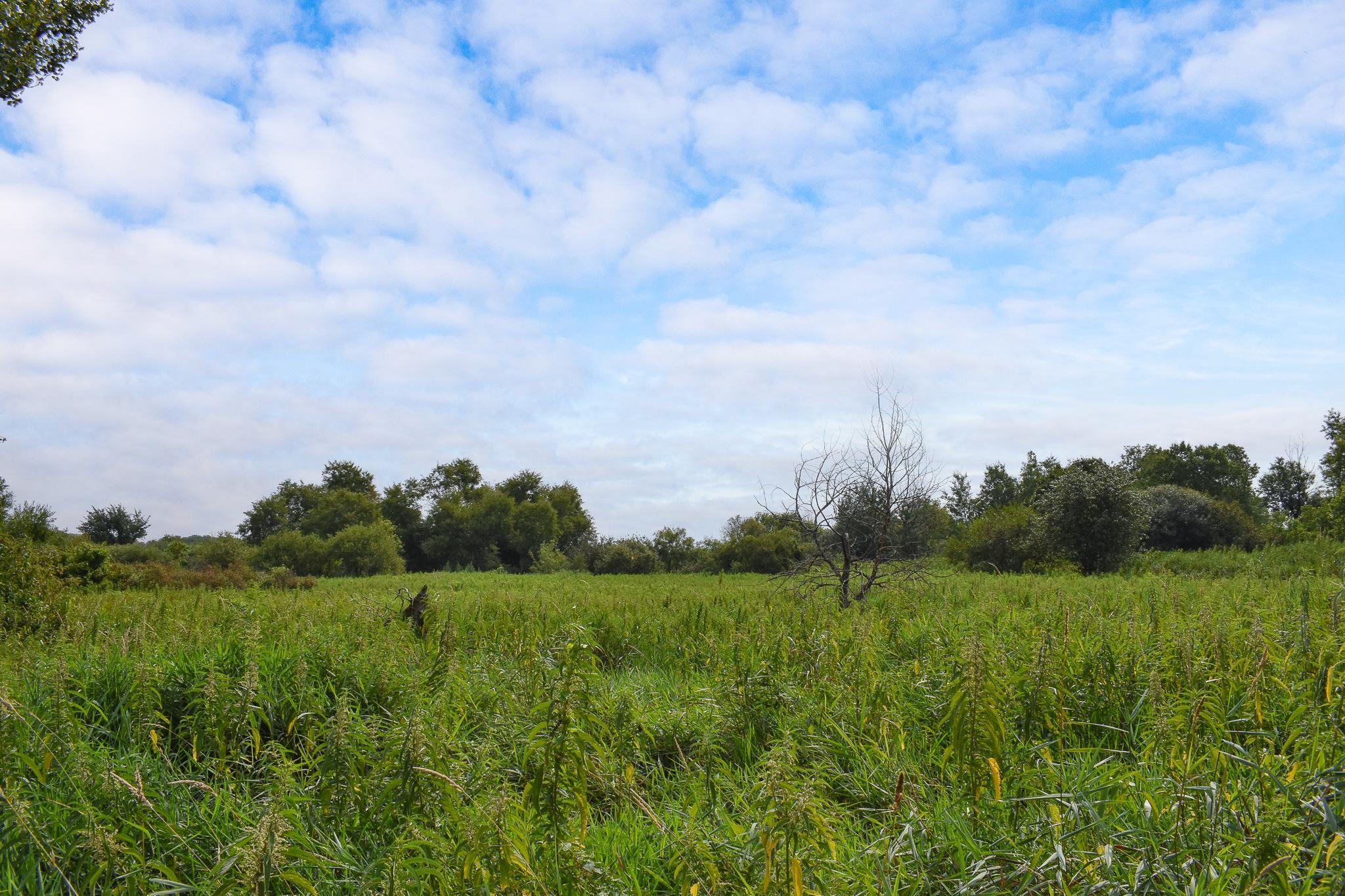 main property photo 82