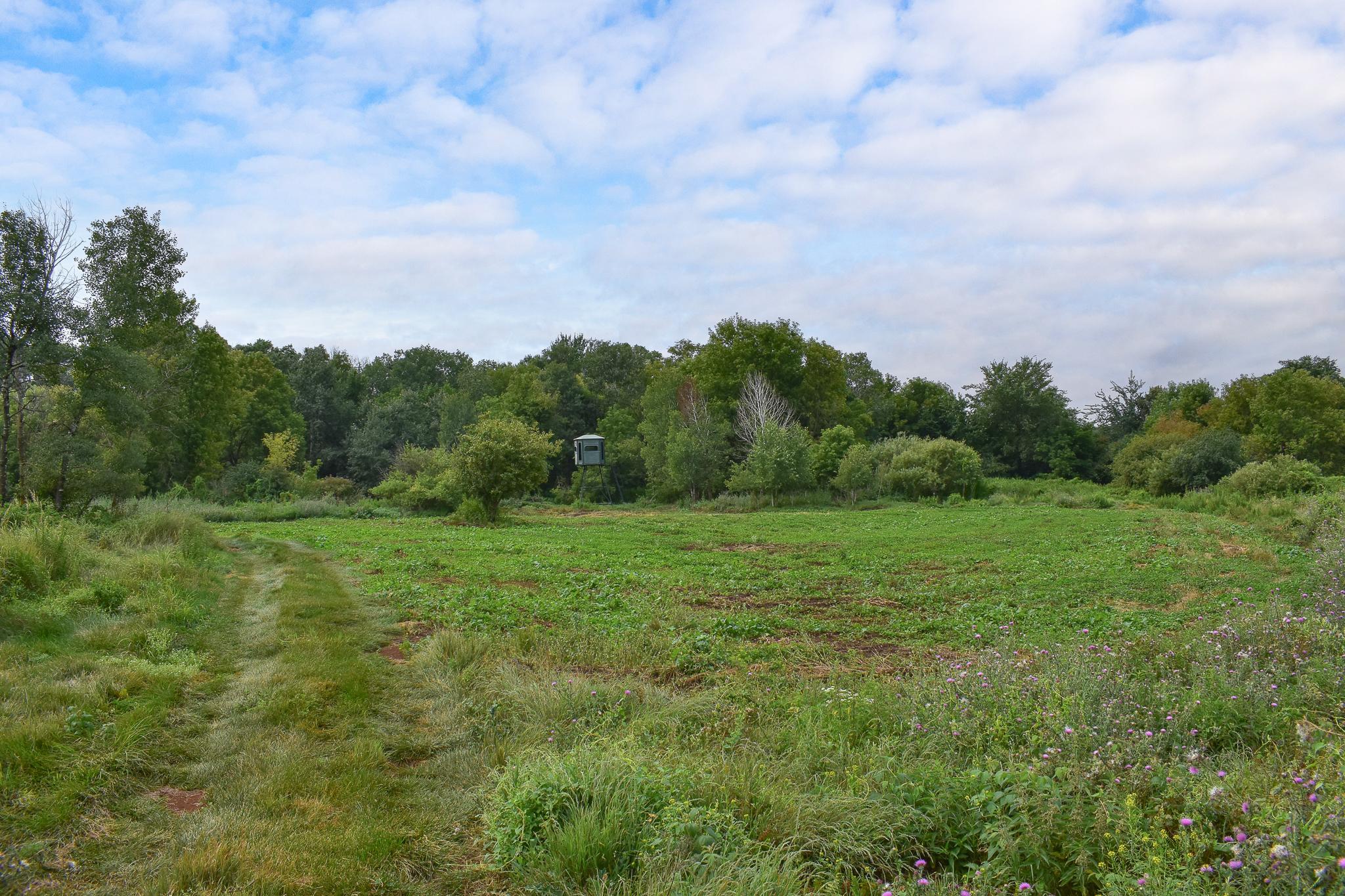 main property photo 84