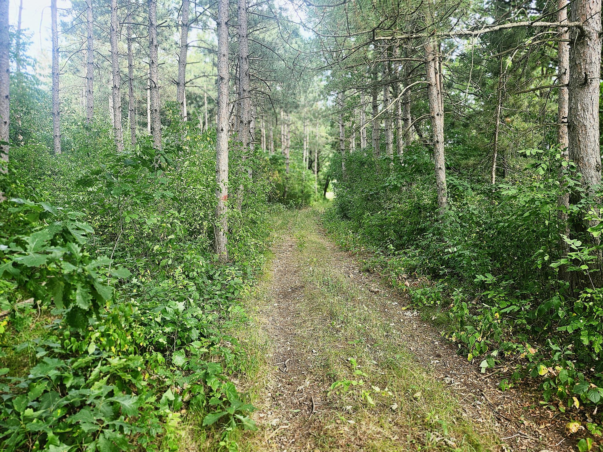 main property photo 0
