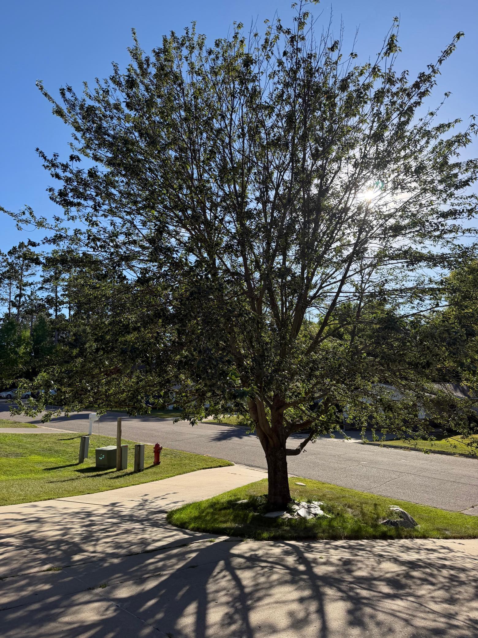 main property photo 64