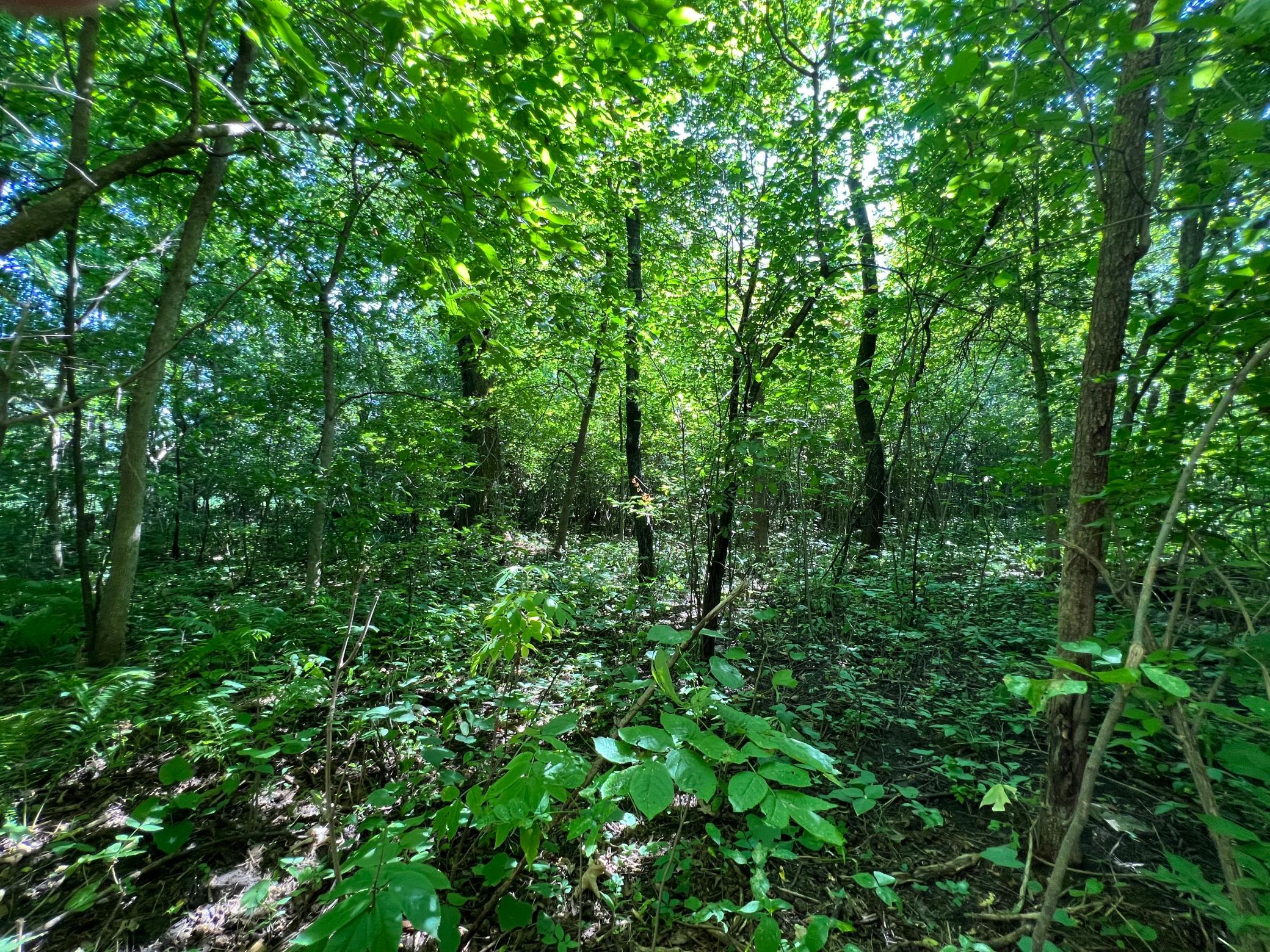main property photo 20