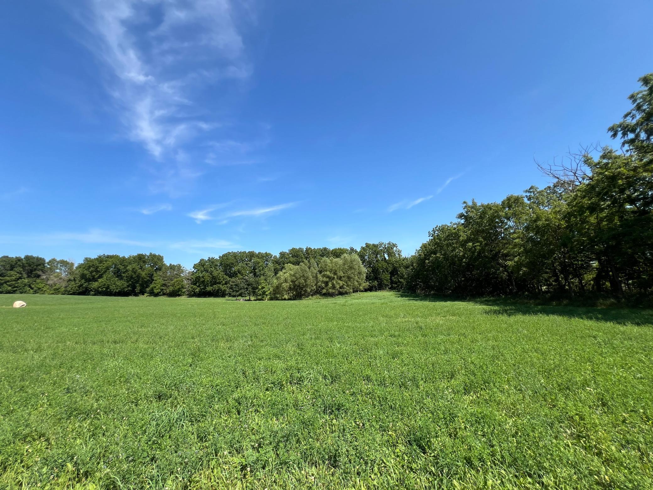 main property photo 64