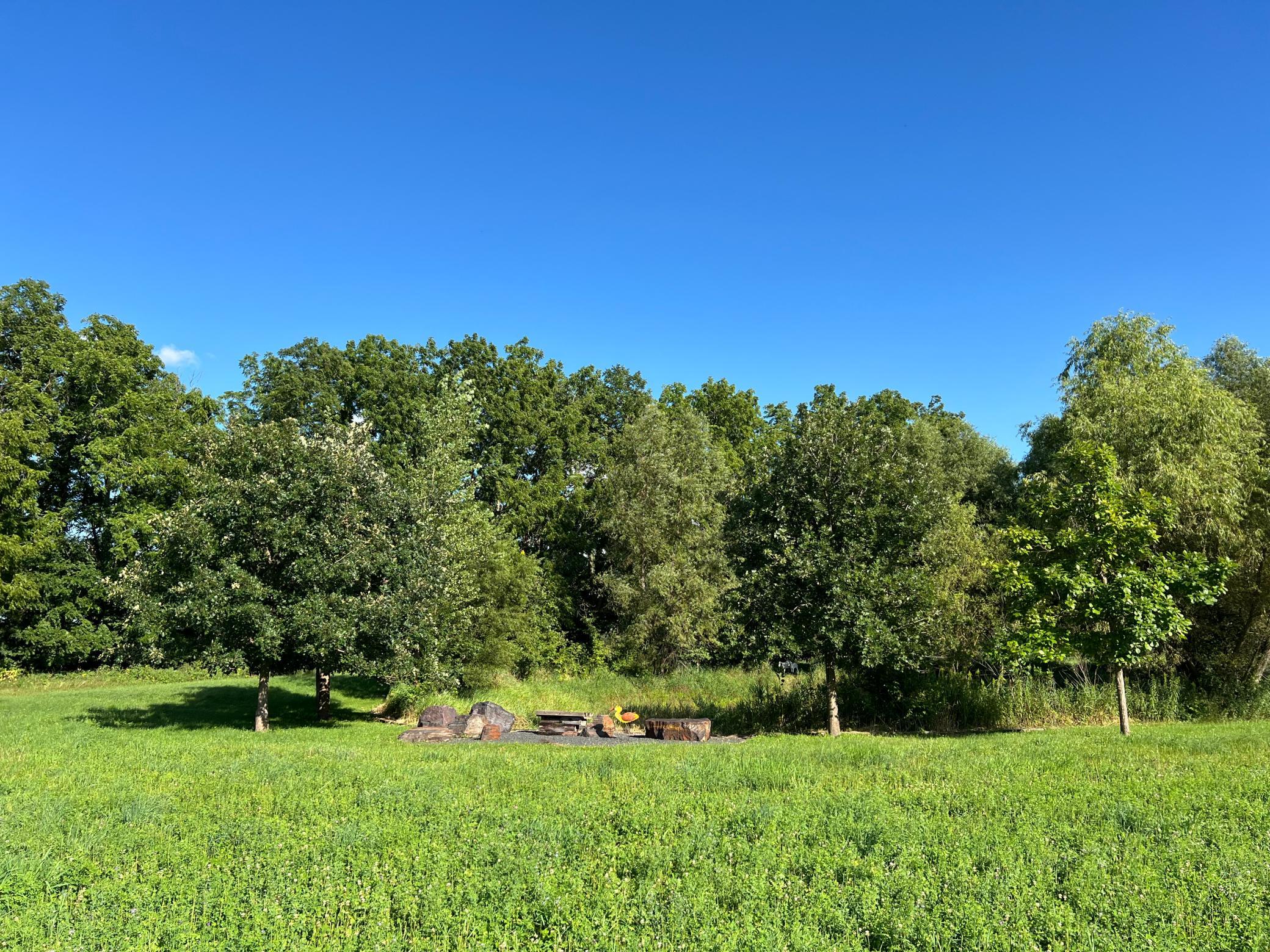 main property photo 66