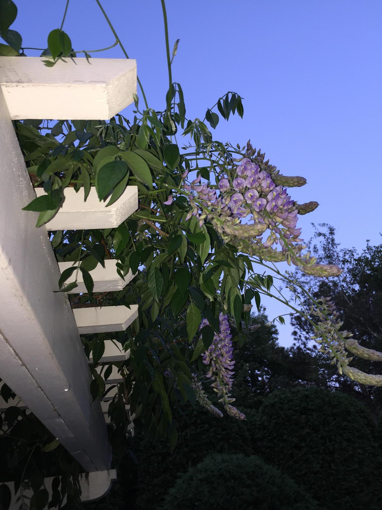 main property photo 50