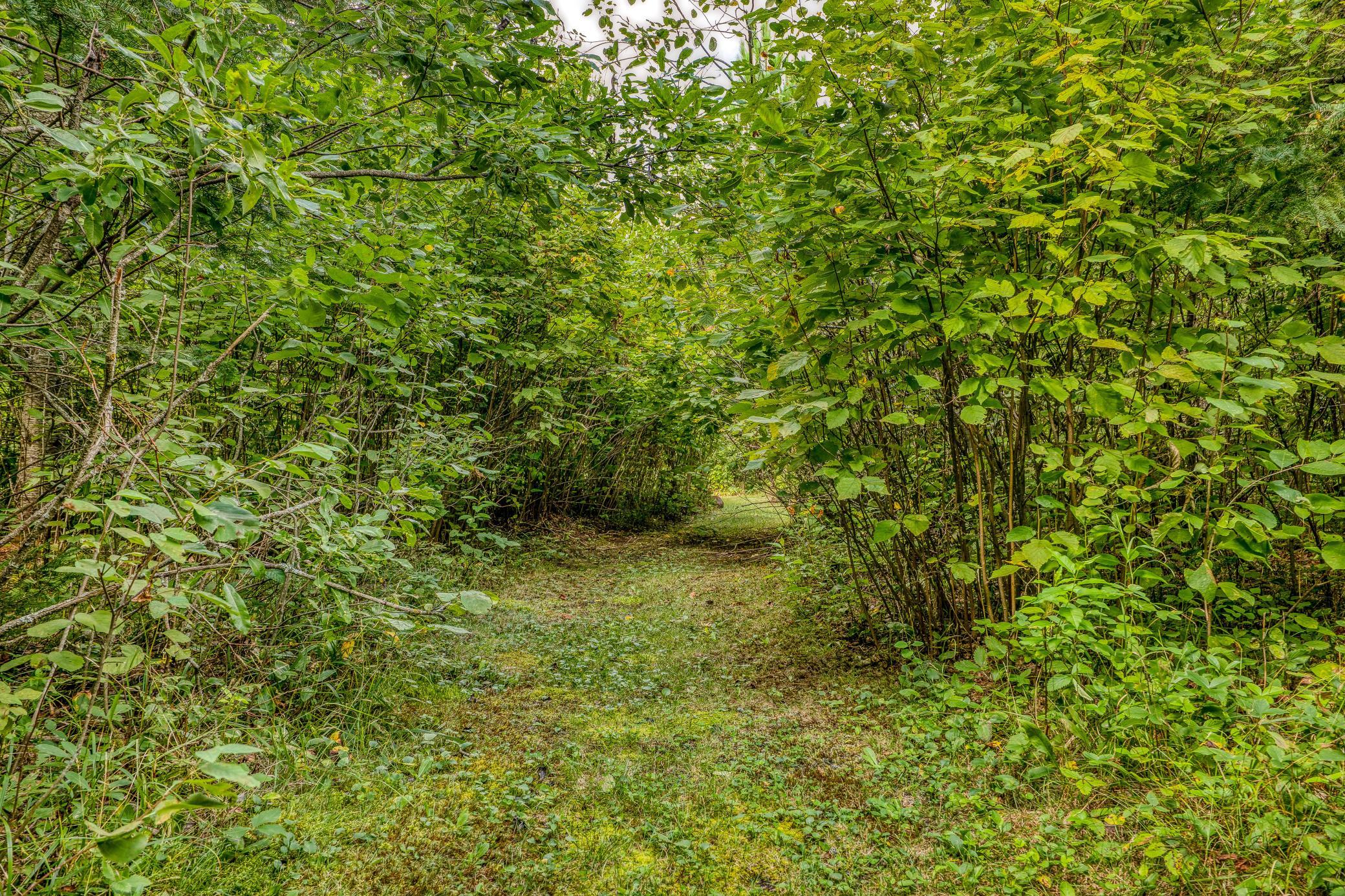 main property photo 87