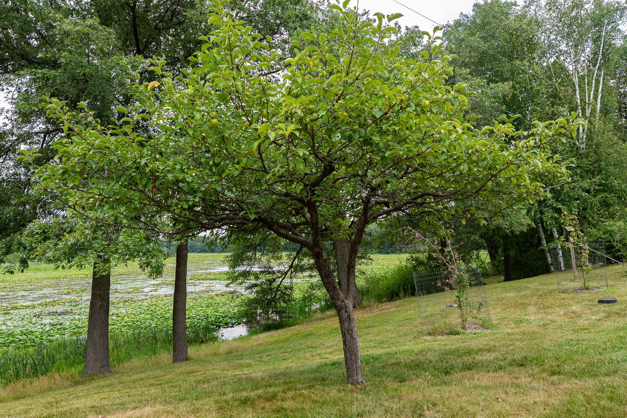 main property photo 39