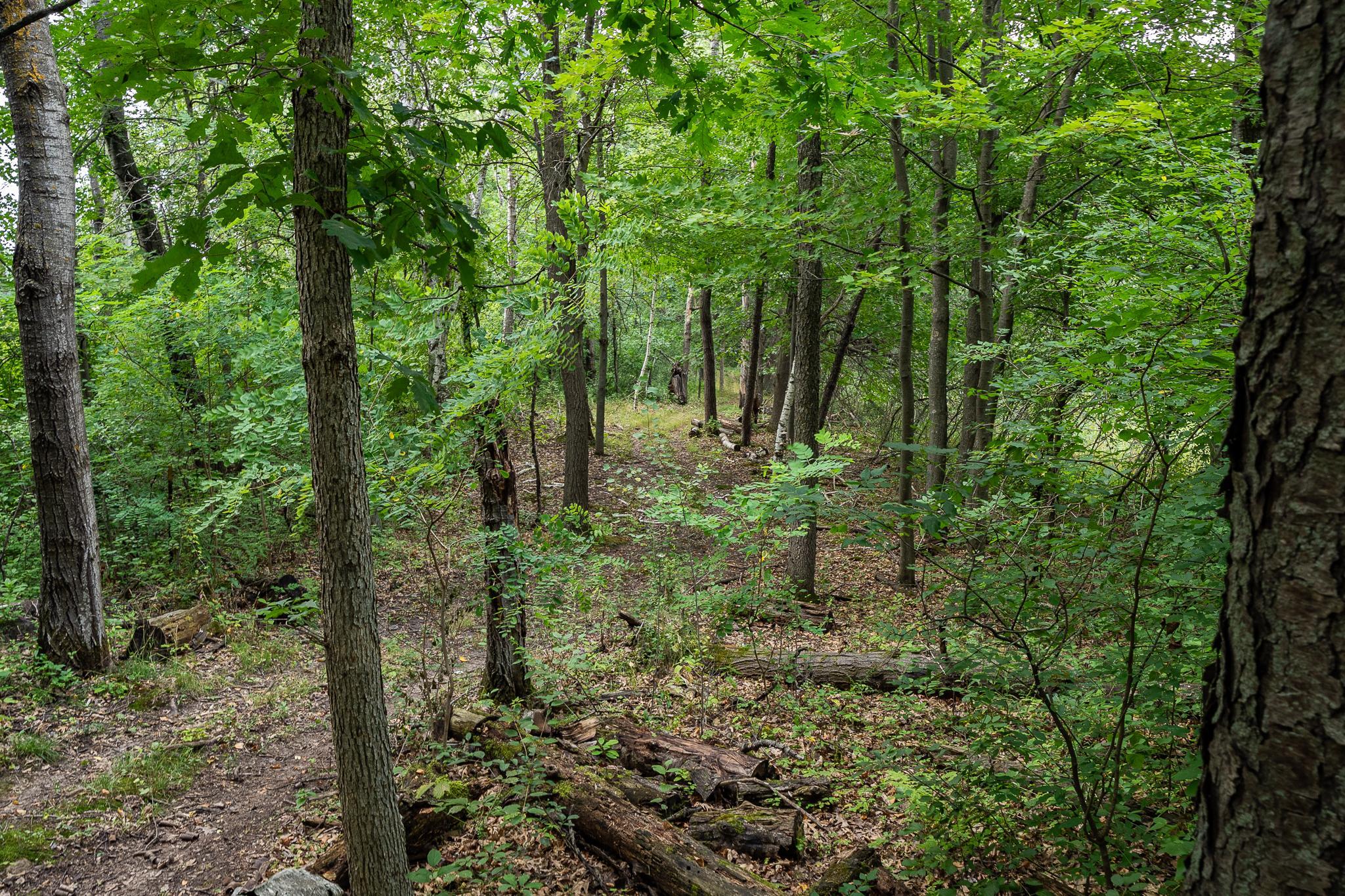 main property photo 48