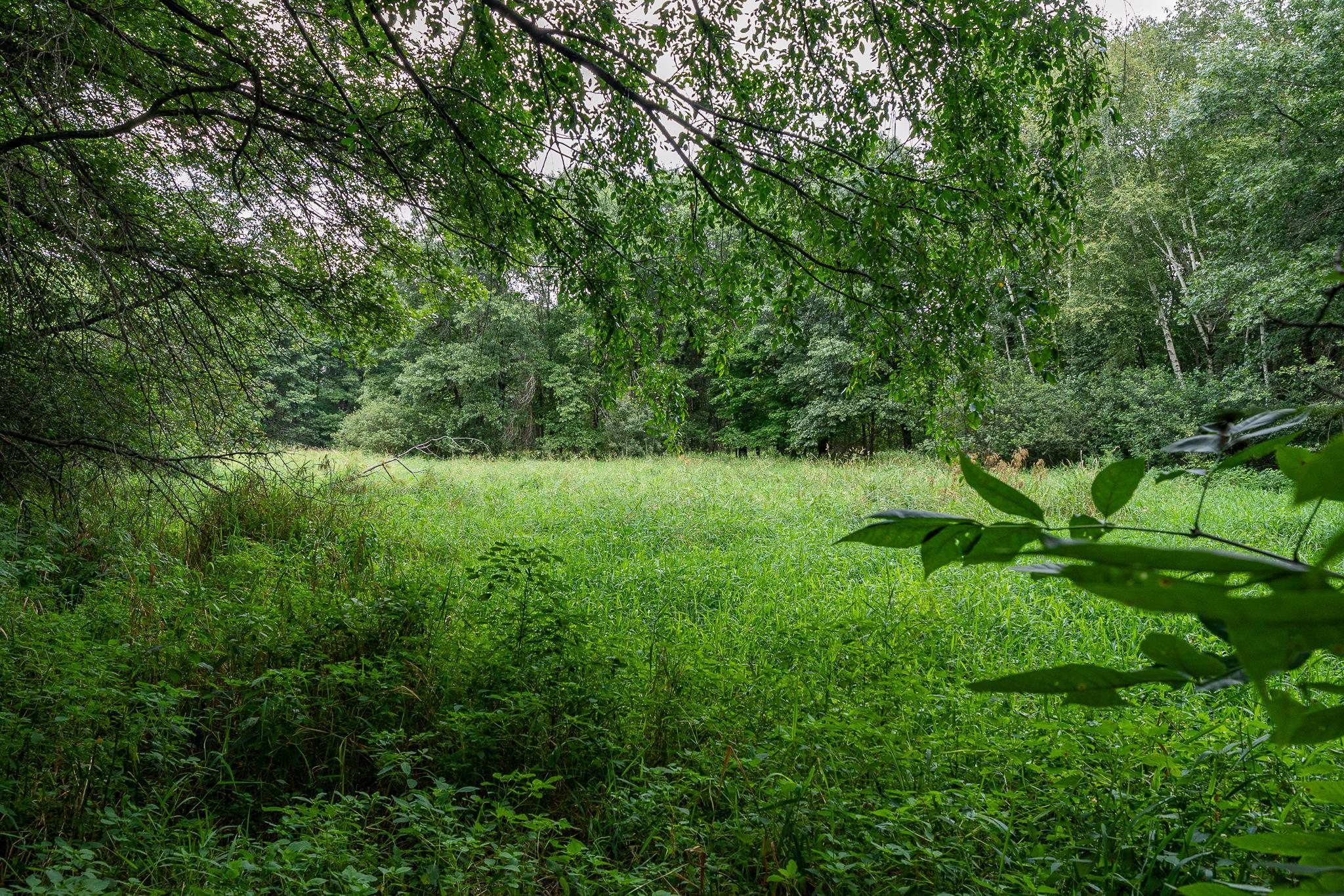 main property photo 50