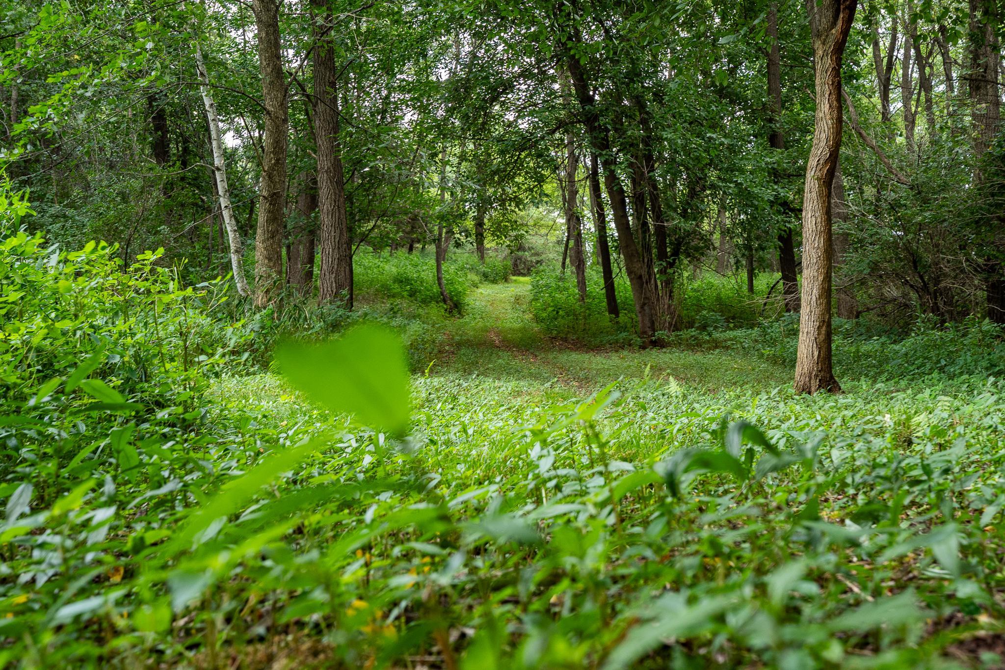 main property photo 52