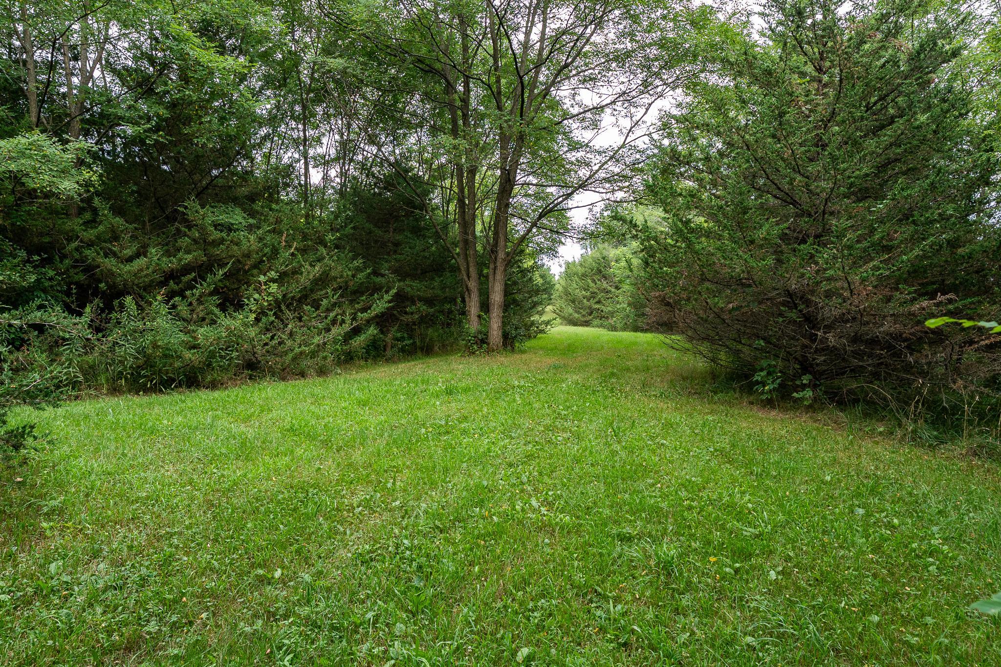 main property photo 54