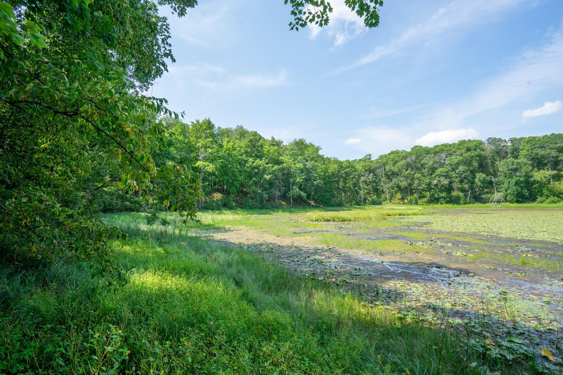 main property photo 61