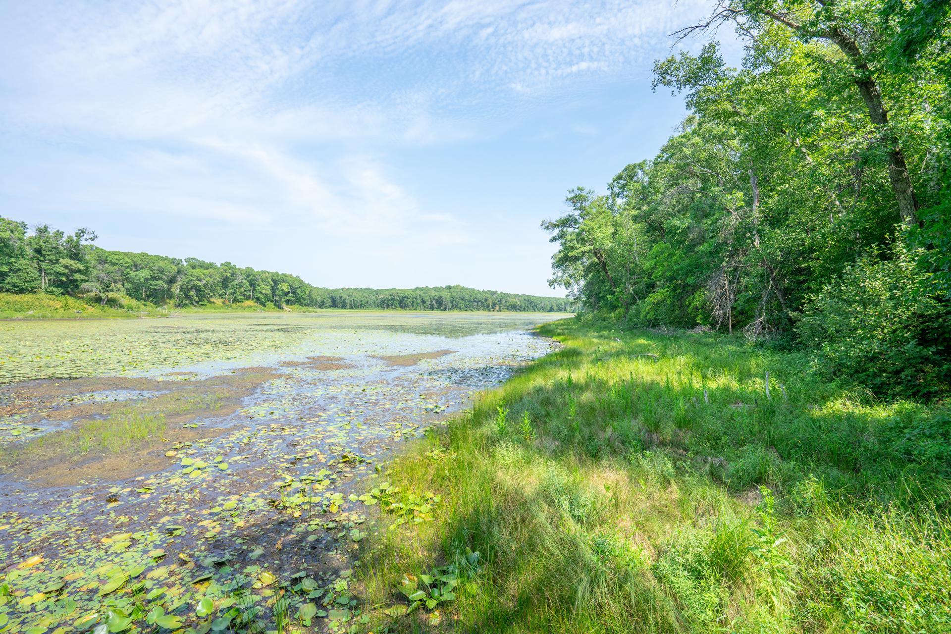 main property photo 63