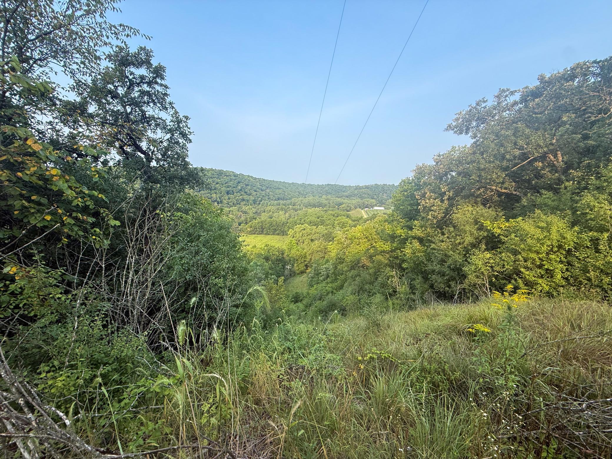 main property photo 27