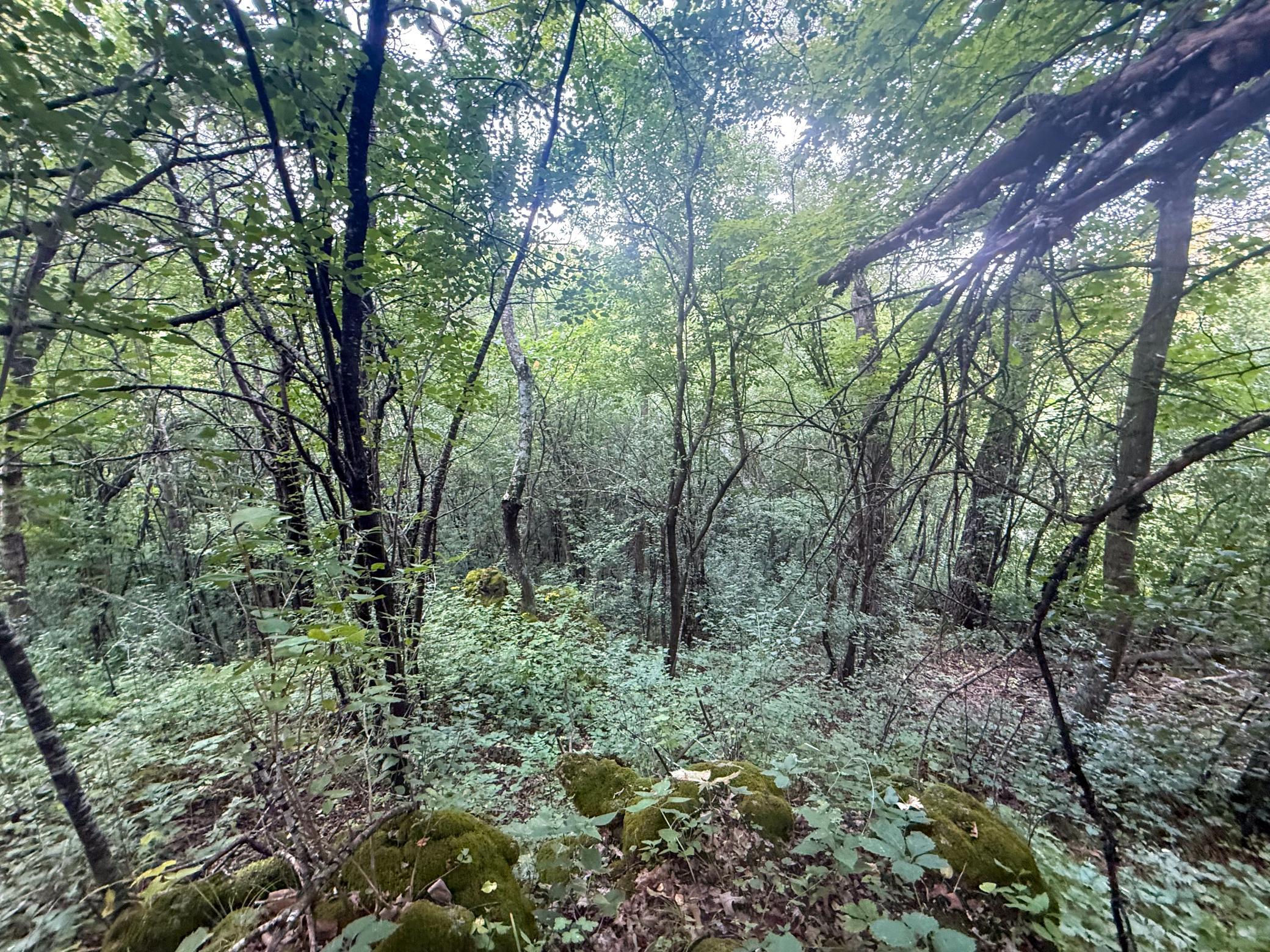 main property photo 28