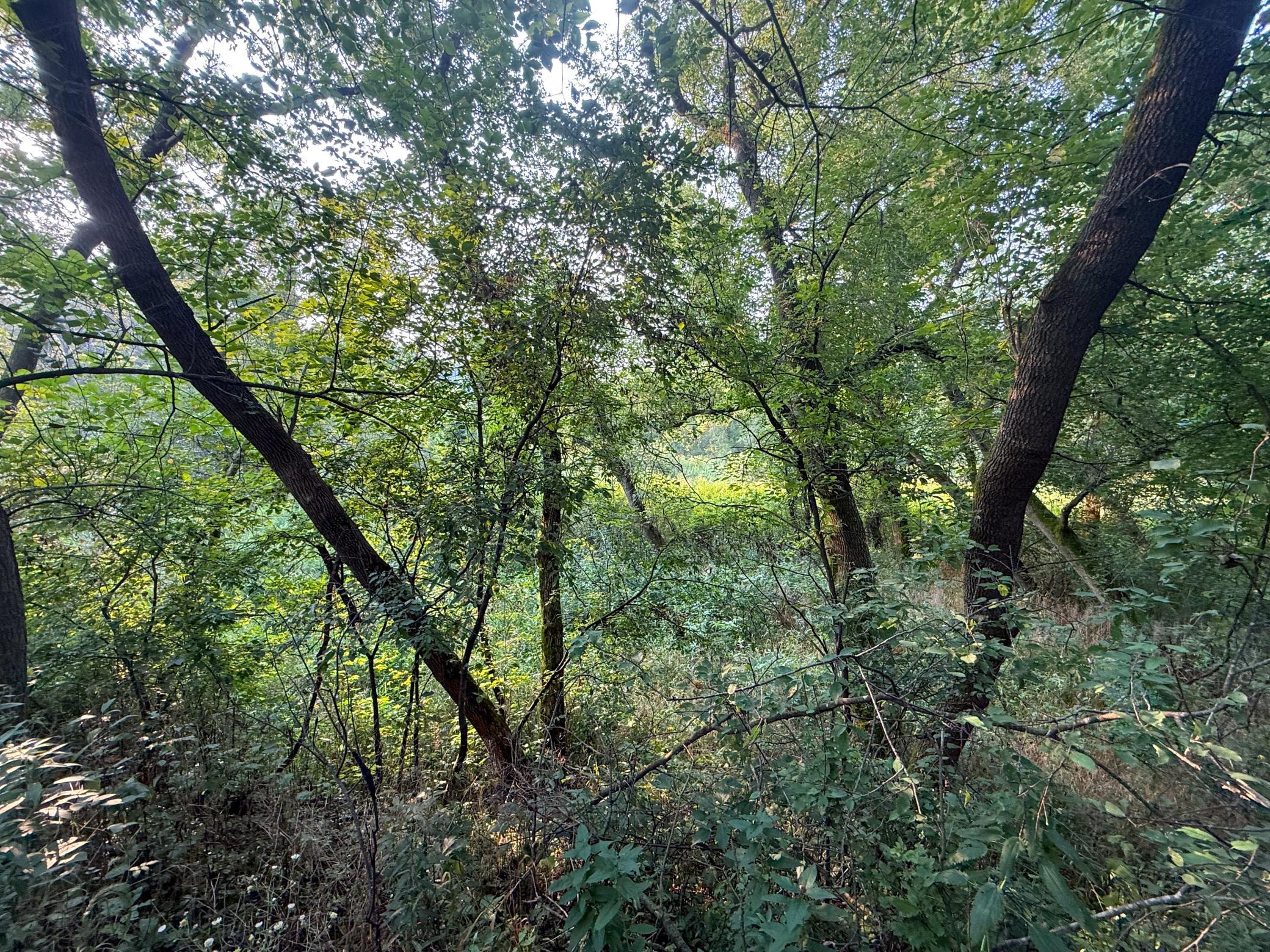 main property photo 10