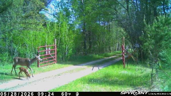main property photo 16