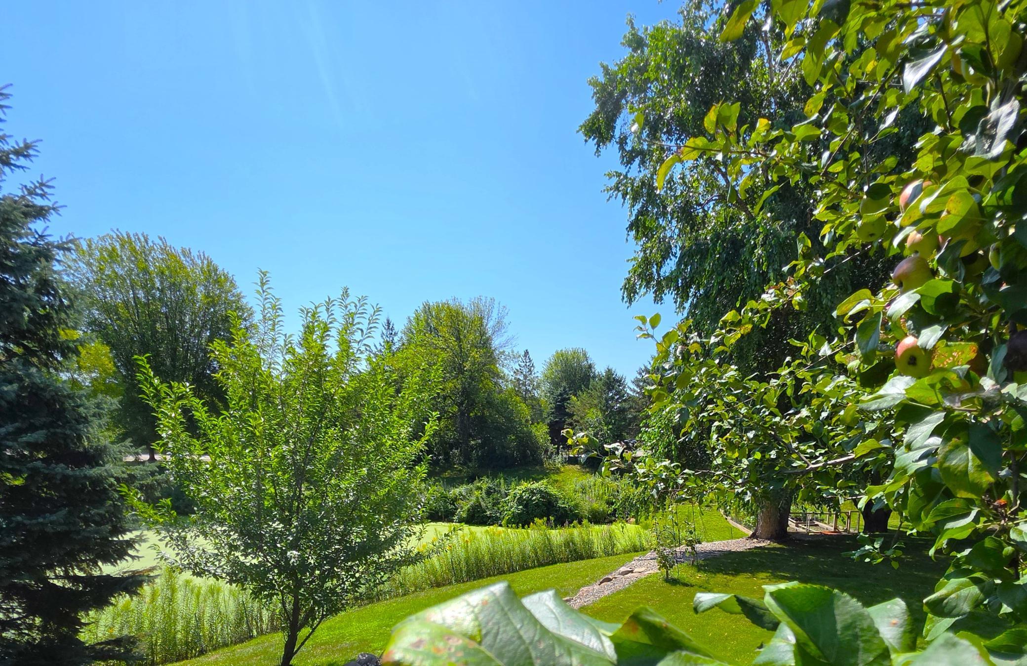 main property photo 65