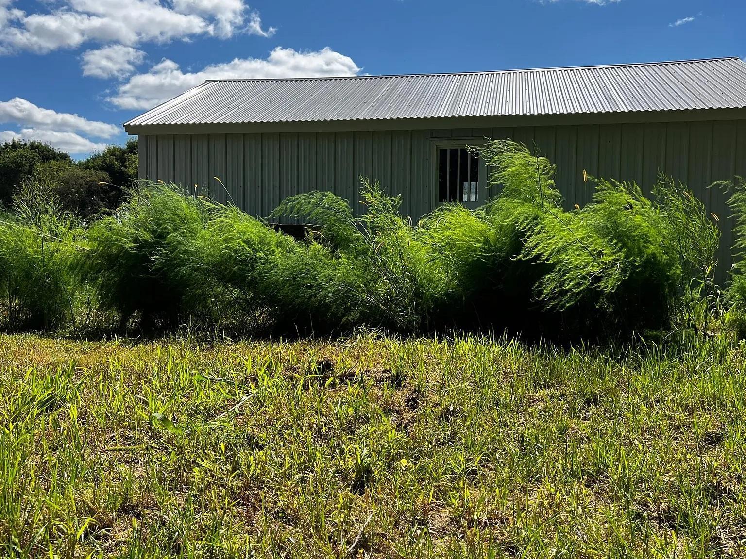 main property photo 43