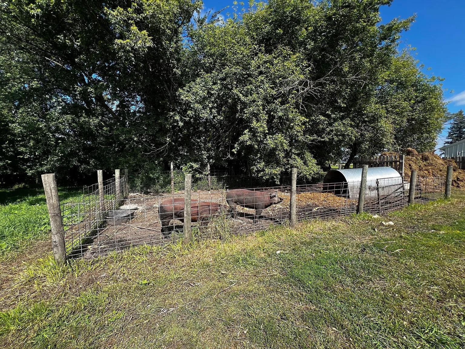 main property photo 44